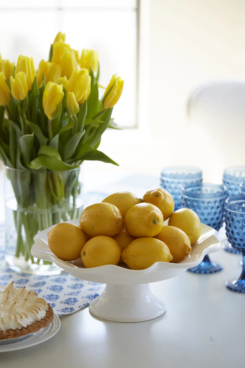 pamelaharveyinteriordesign.com | Pamela Harvey Interior Design | Luxury Home and Corporate Space Styling In Virginia, Florida, Washington D.C. | Kitchen and Bathroom Stylist