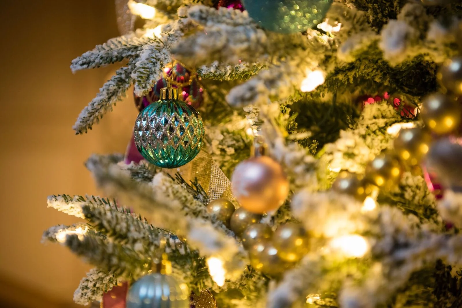 Light Up The Season