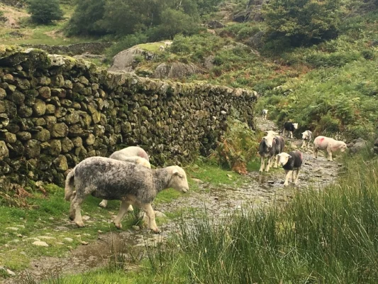 AIMLESS ARMENIAN ANNUAL REVIEW: 31STBD