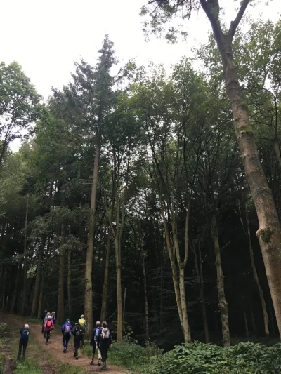 C2C Day 15: Penultimate Push