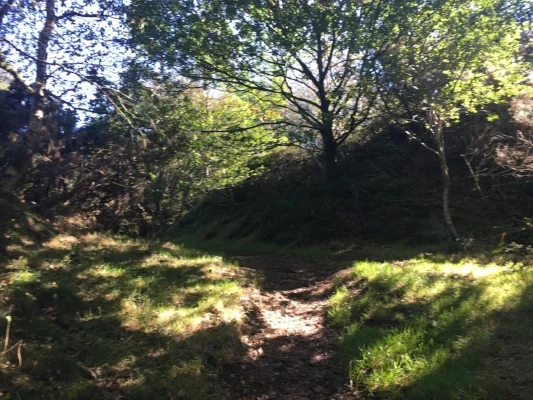 C2C Day 13: A Near Perfect Day