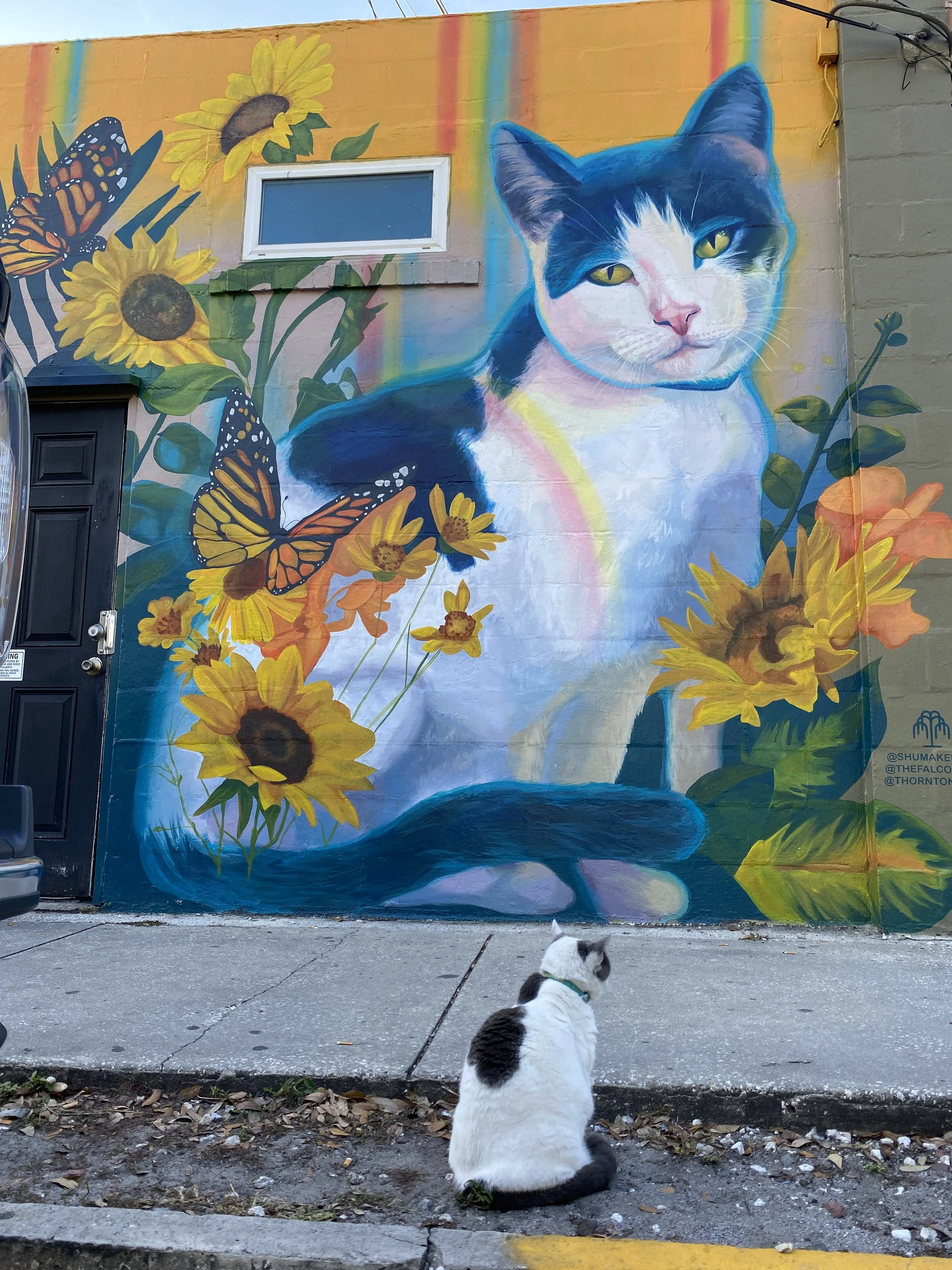 Lulu Mural Falcon Bar