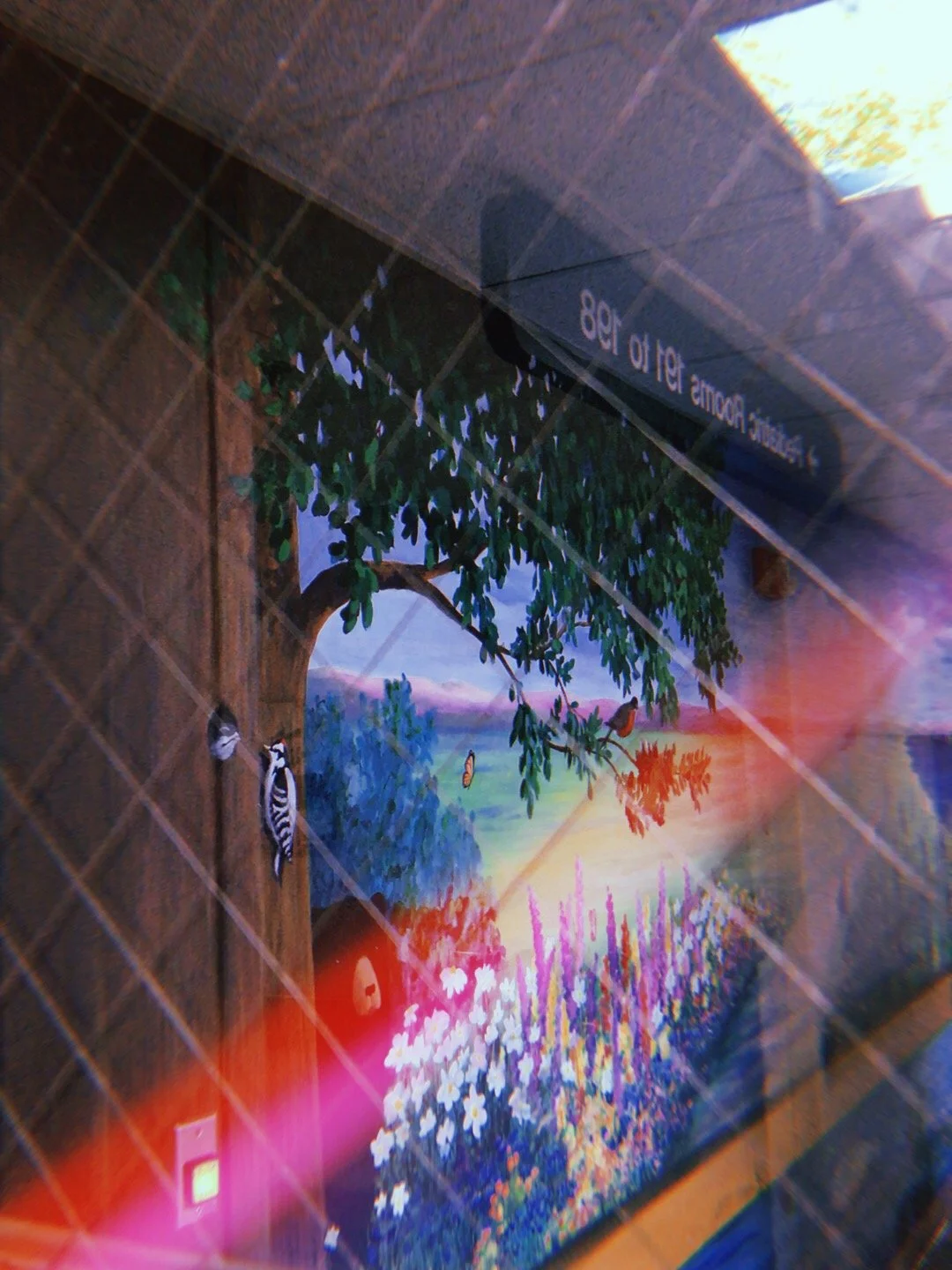 2019-04-13 16:52:13.772.JPG