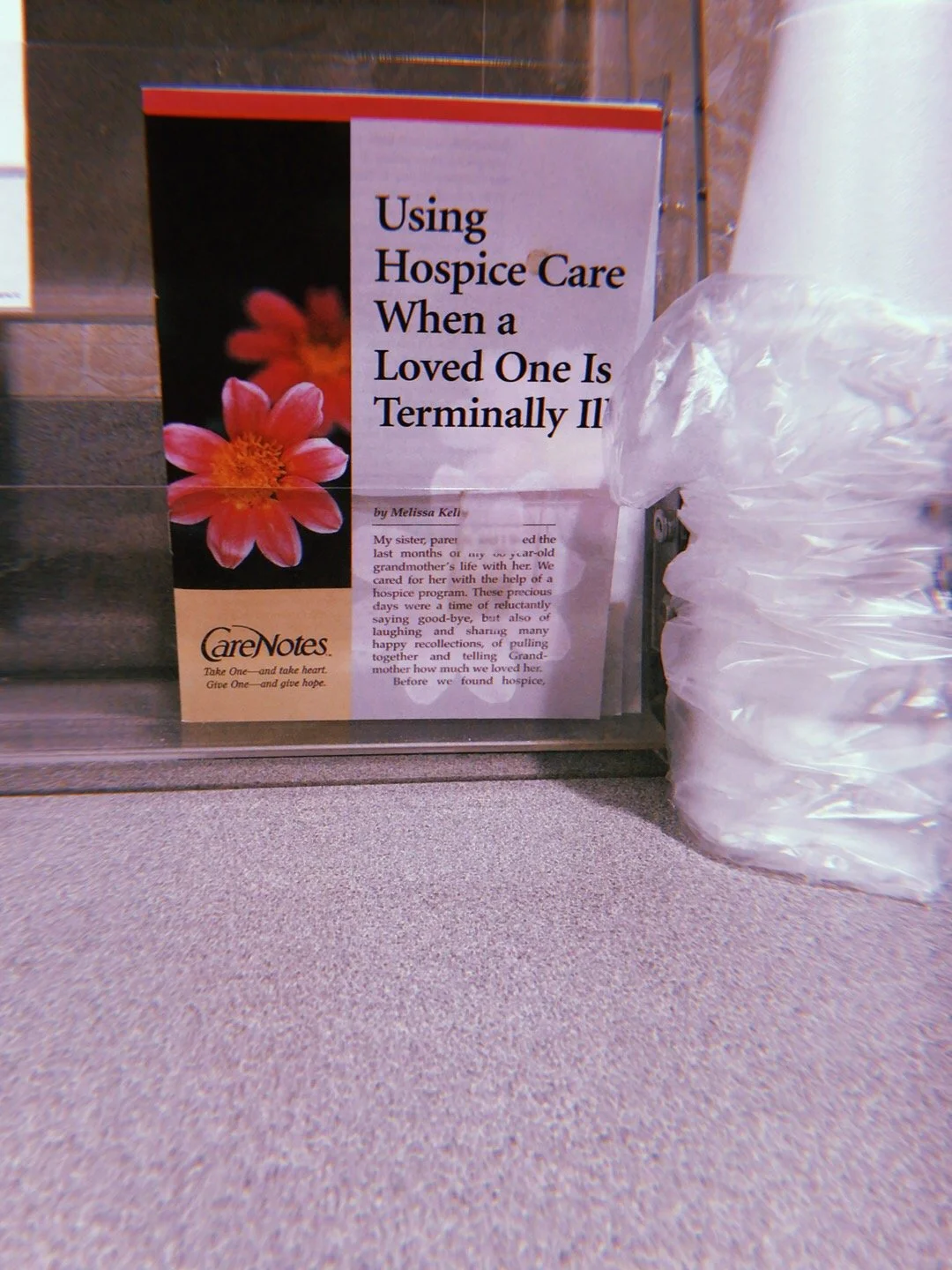 2019-04-13 16:54:09.307.JPG