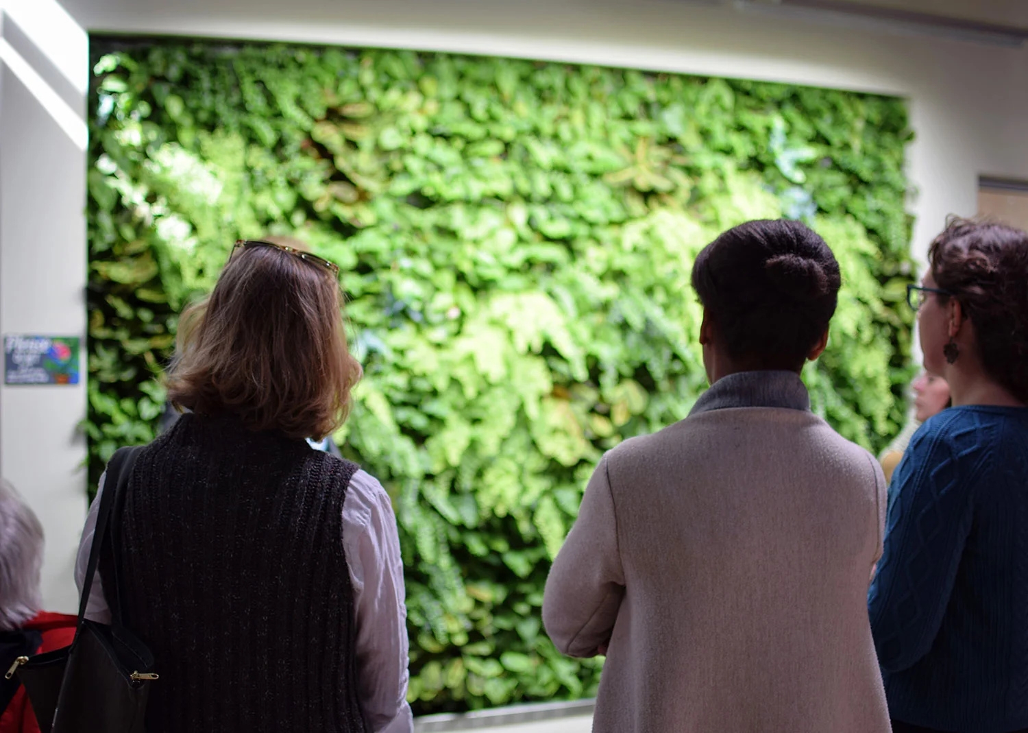 The green wall, made of living plants and supported by the building's graywater, brings the outside in.