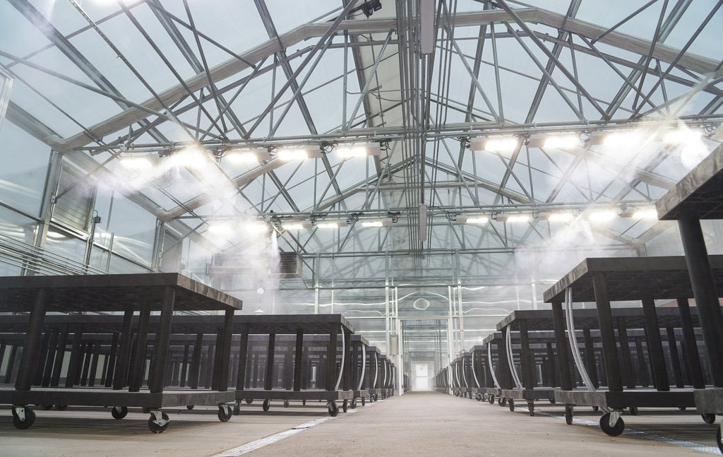 joyn-greenhouse-1.jpg