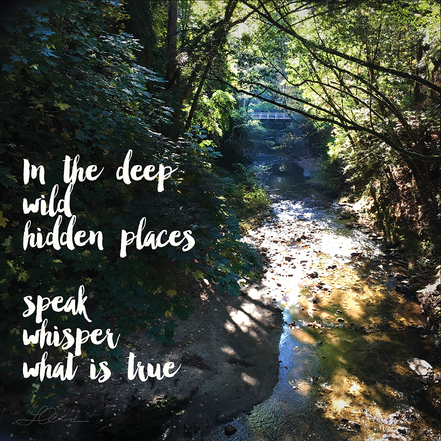 Wild Places_thumbnail.png