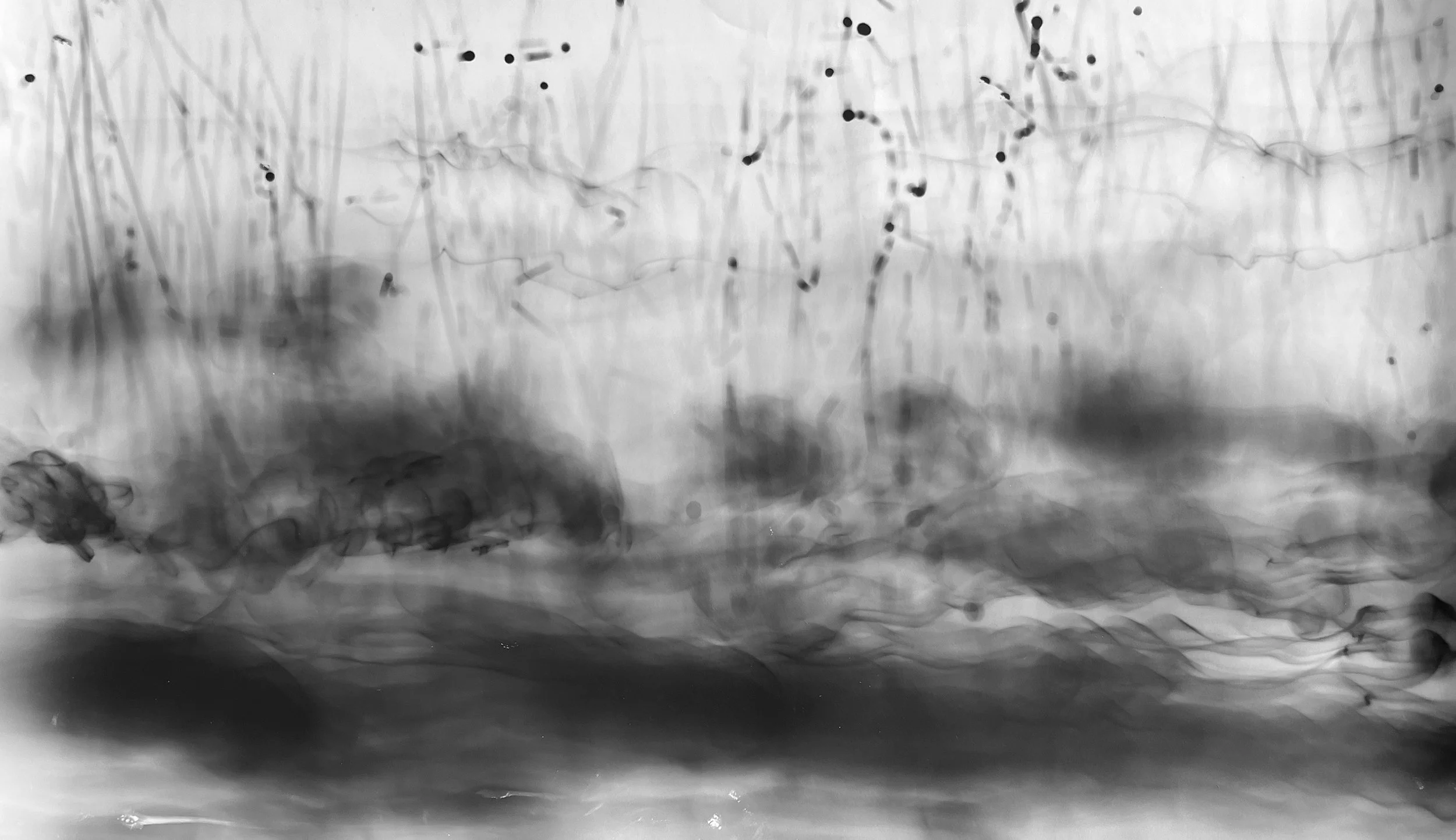 tormenta4.jpg