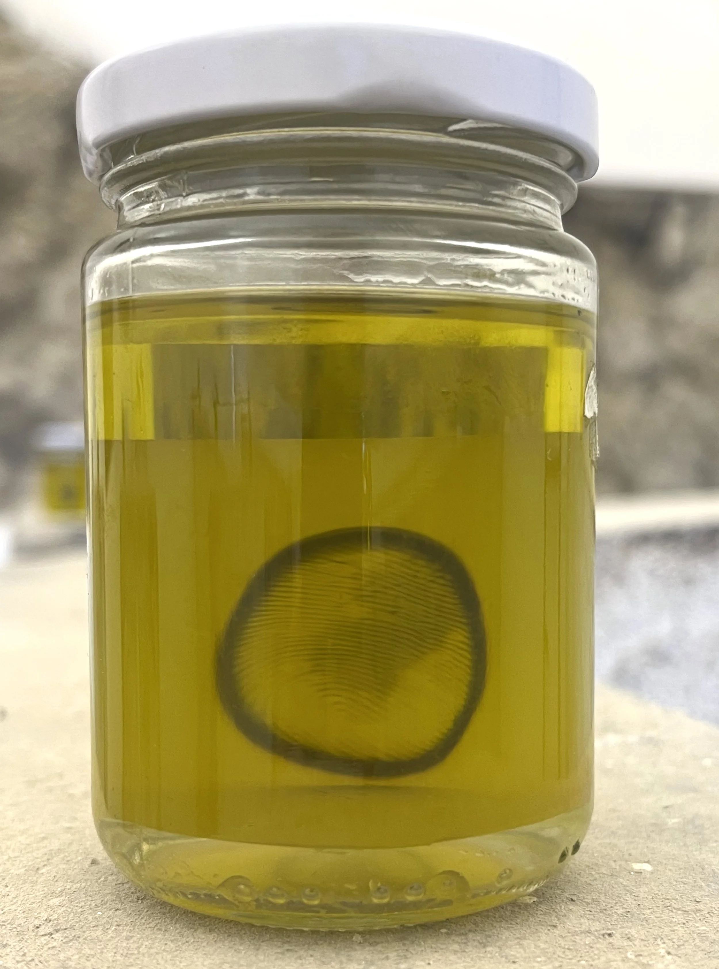 10Huella3.jpg