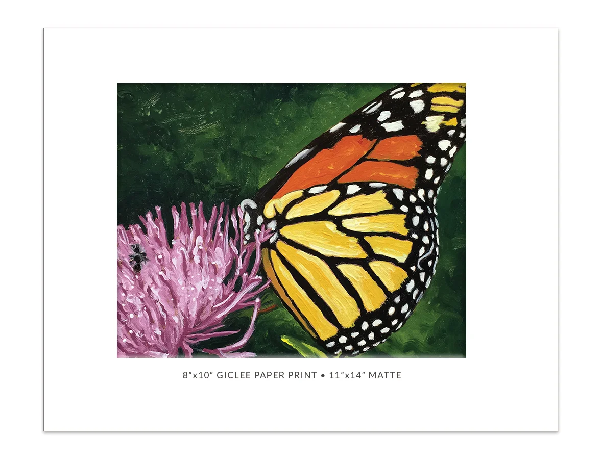 web-butterfly-matted.jpg