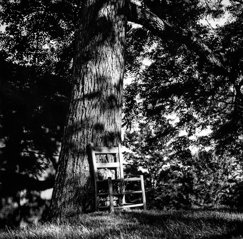 Fishkill Backyard