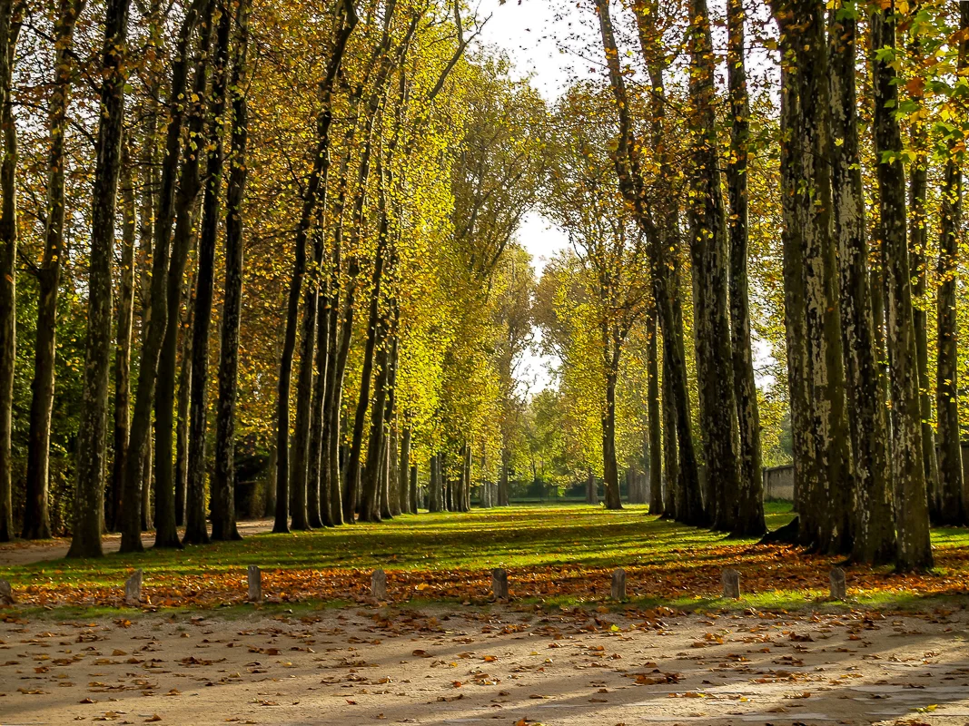 Garden, Paris, France