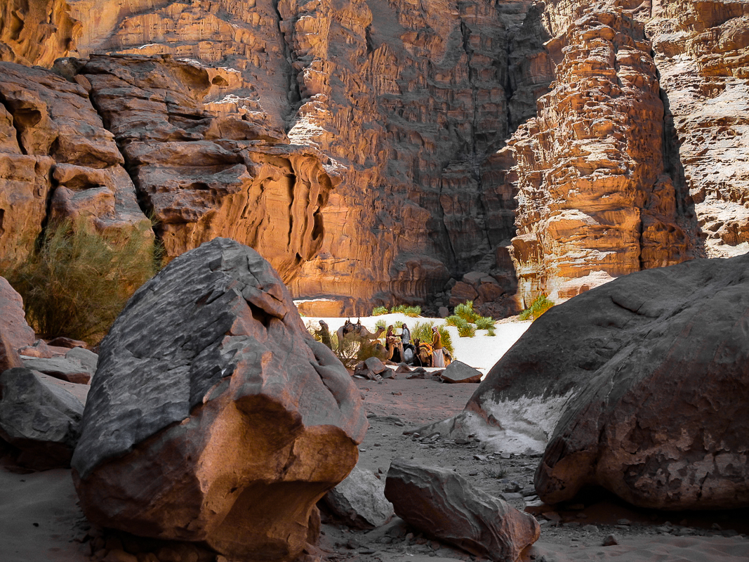 Men and Camels, Wadi Rum , Jordan