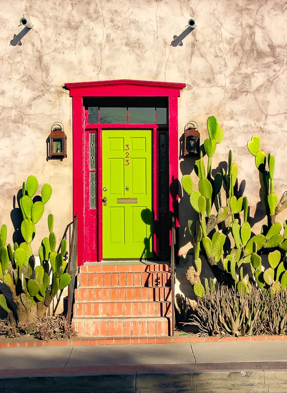 Green Door and Cactus, Tucson, Arizona