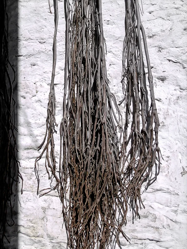 Twigs on Wall, Xochicalco, Mexico