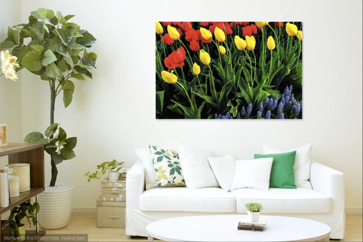 White-Sofa-Foliage-Livingroom (14).jpg