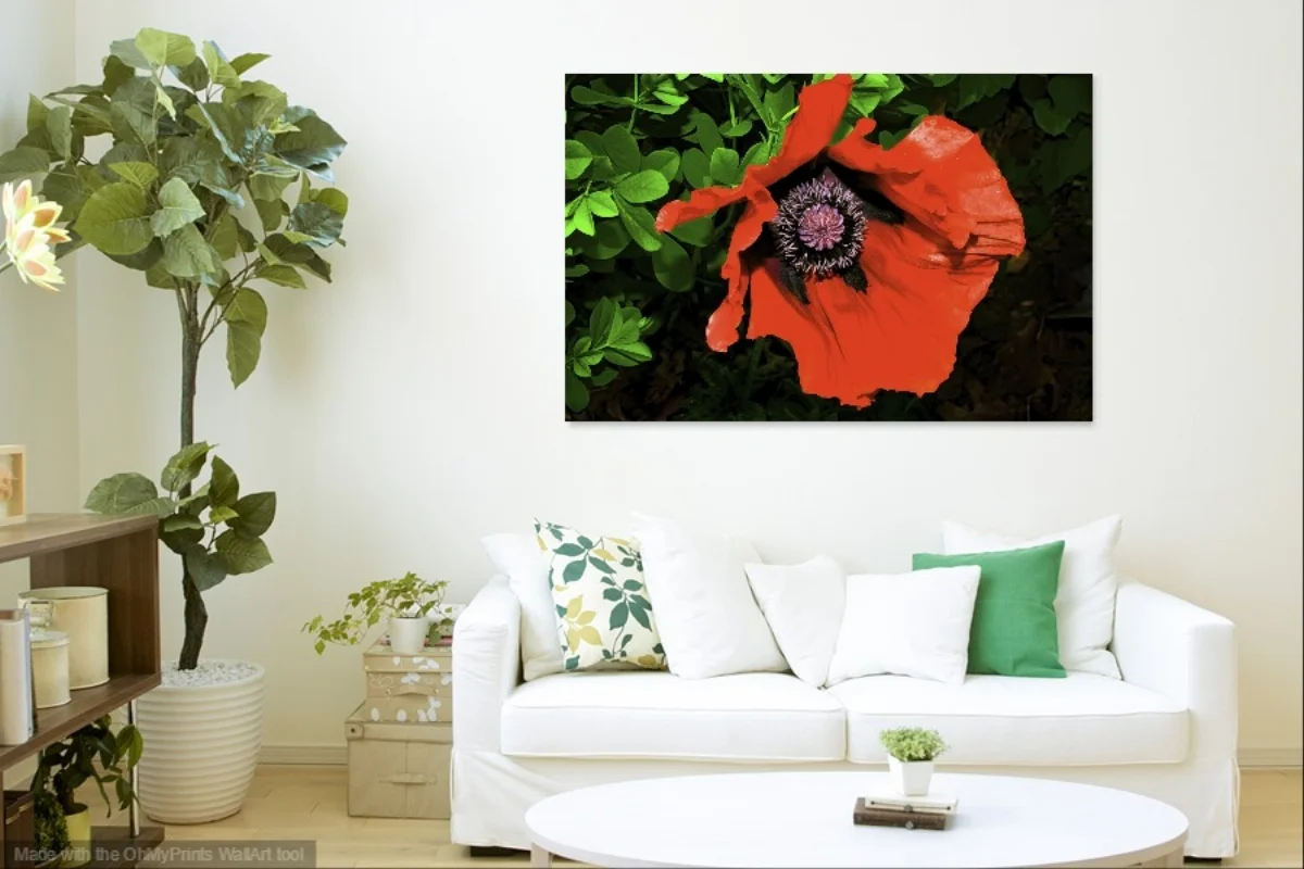 White-Sofa-Foliage-Livingroom (15).jpg