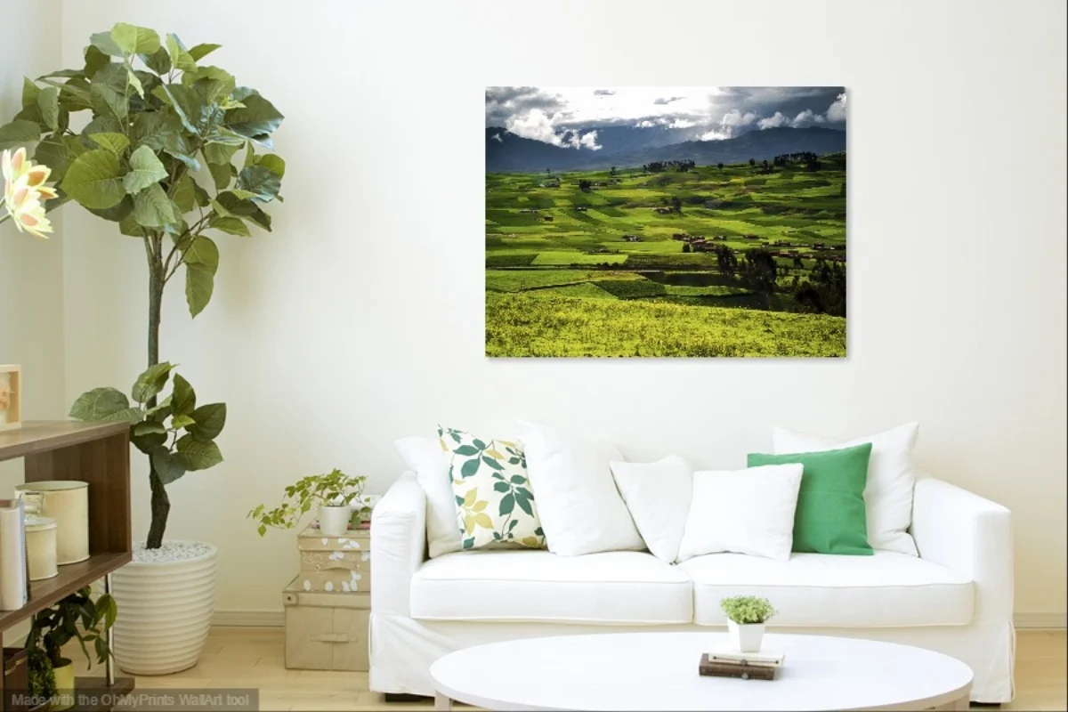 White-Sofa-Foliage-Livingroom (20).jpg