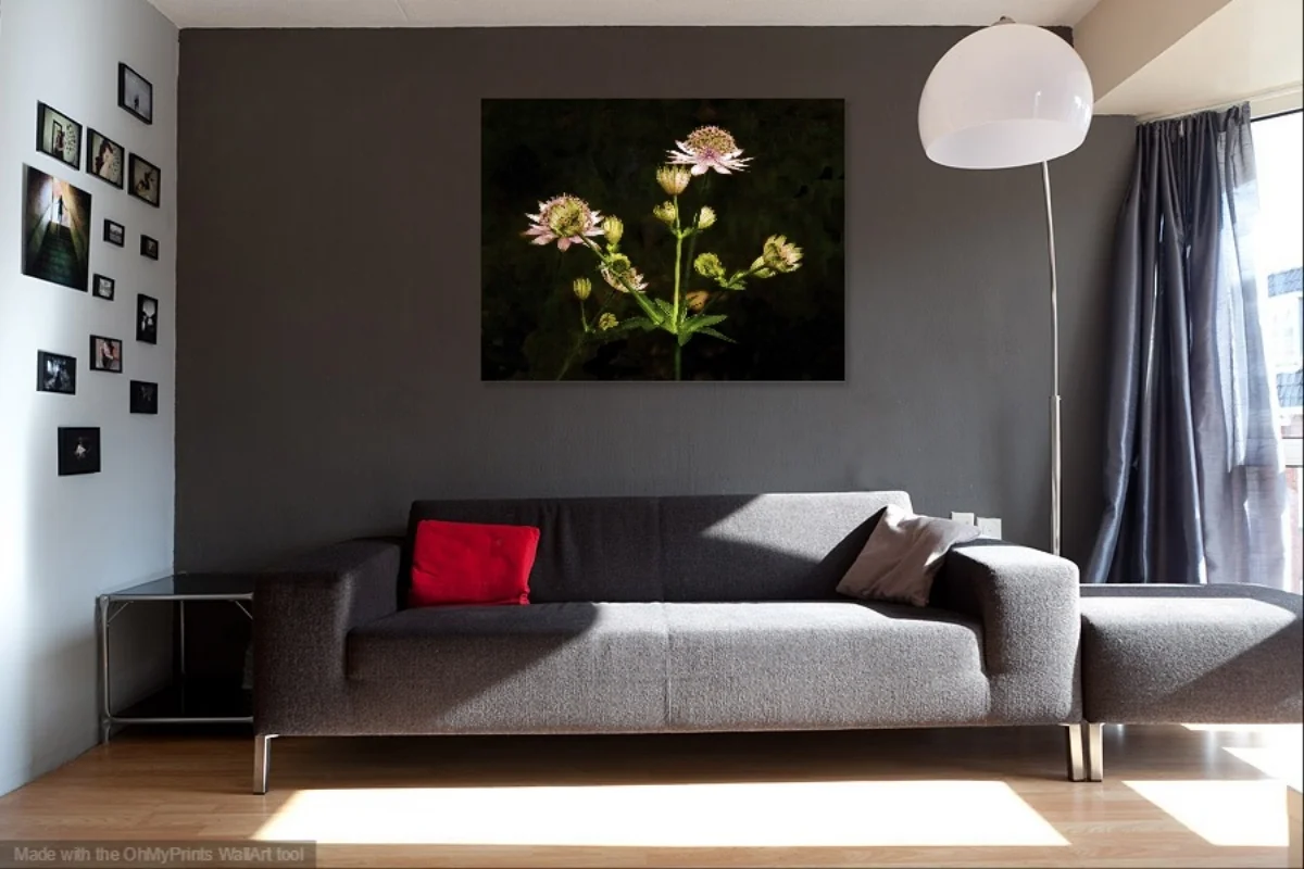 Grey-Sofa-and-Wall-Livingroom (1).jpg