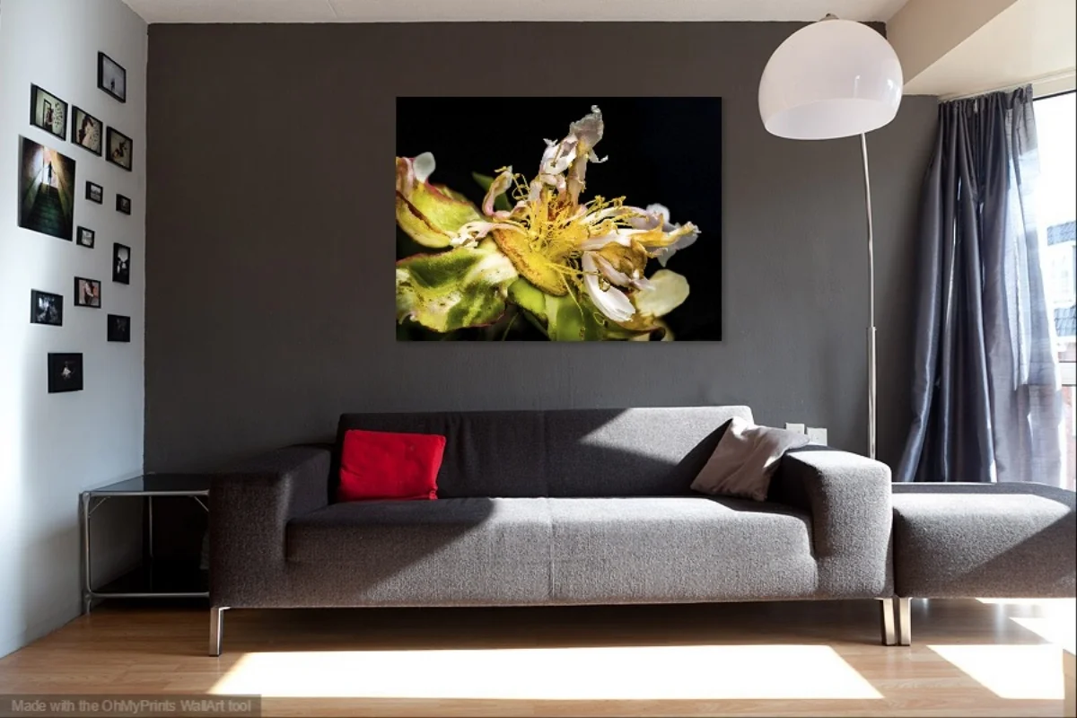 Grey-Sofa-and-Wall-Livingroom (37).jpg