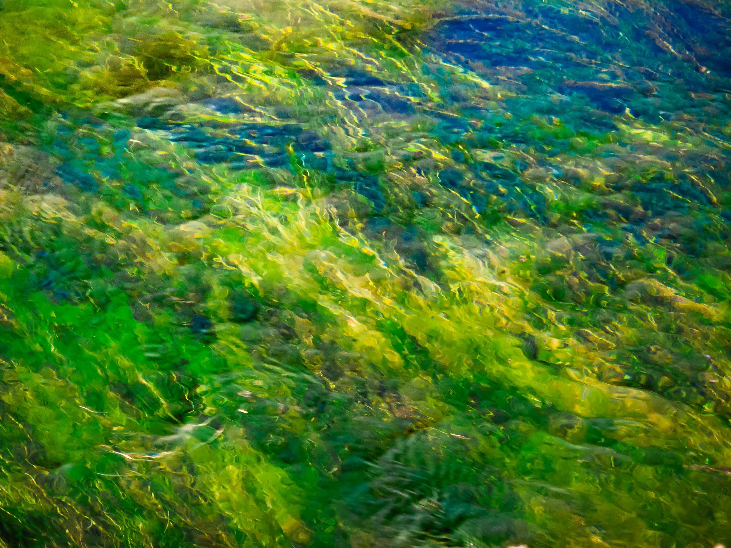 Ribbons Underwater