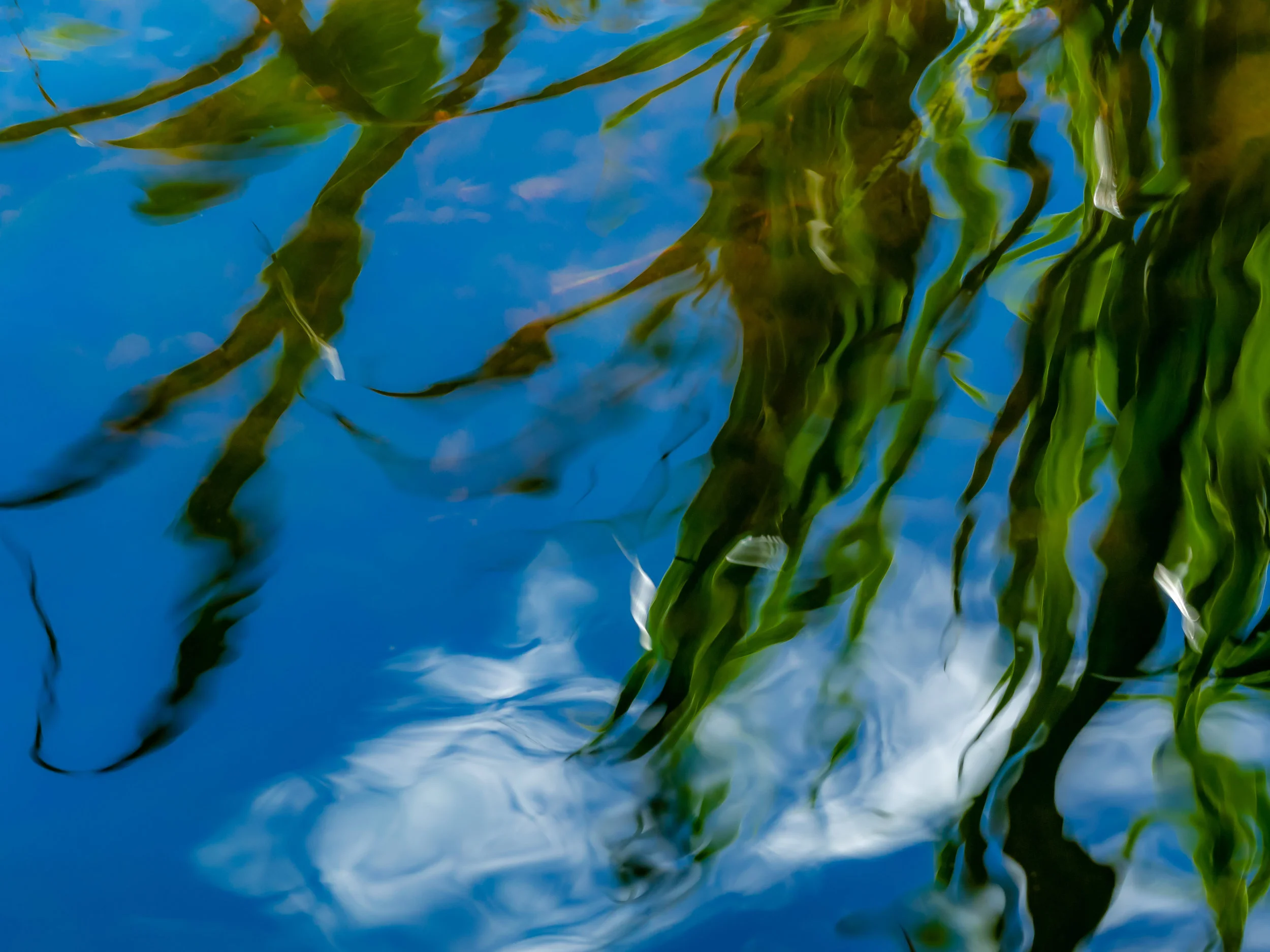 Quivering Water