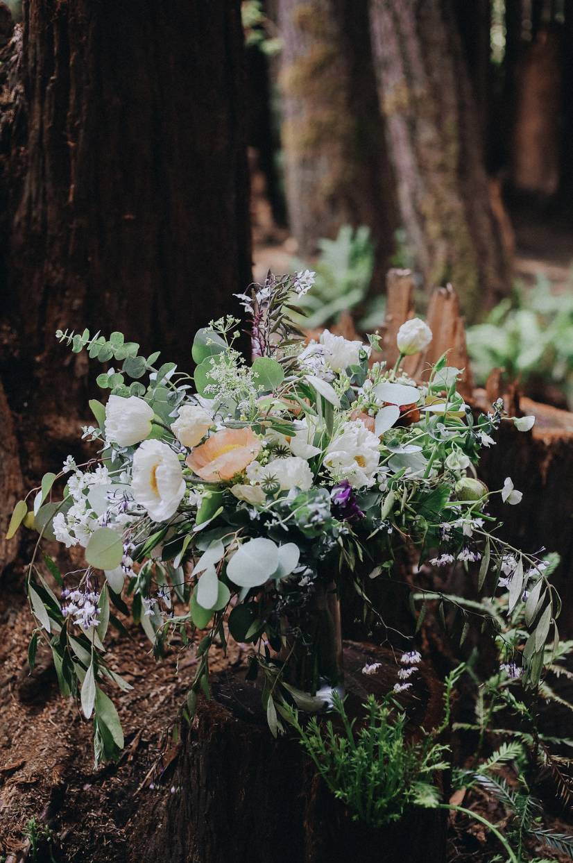 Chelsea + Lance / / Camp Navarro  