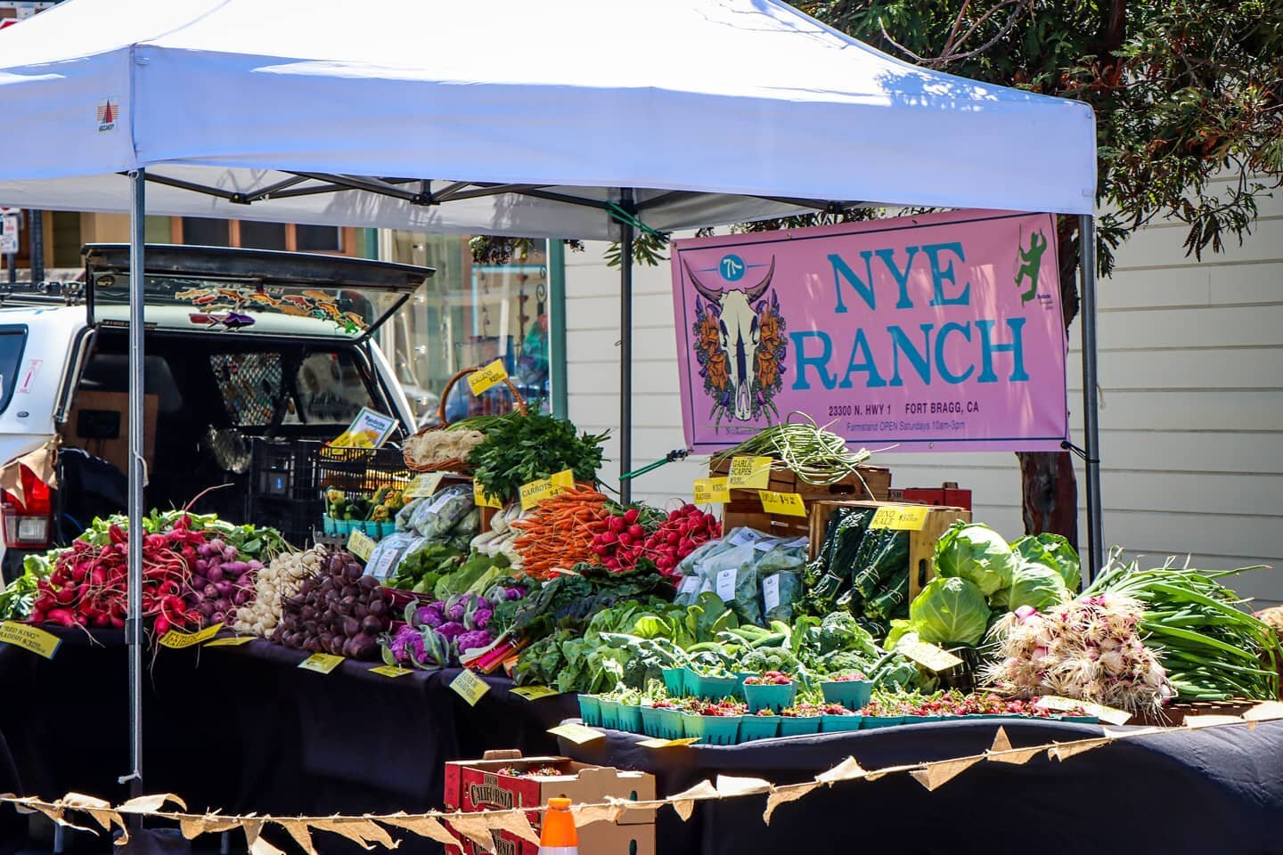 Get a taste of the rainbow at our Saturday farmstand! 🌈 sooo many goodies right now 😋🥕🍓🥬👨&zwj;🌾