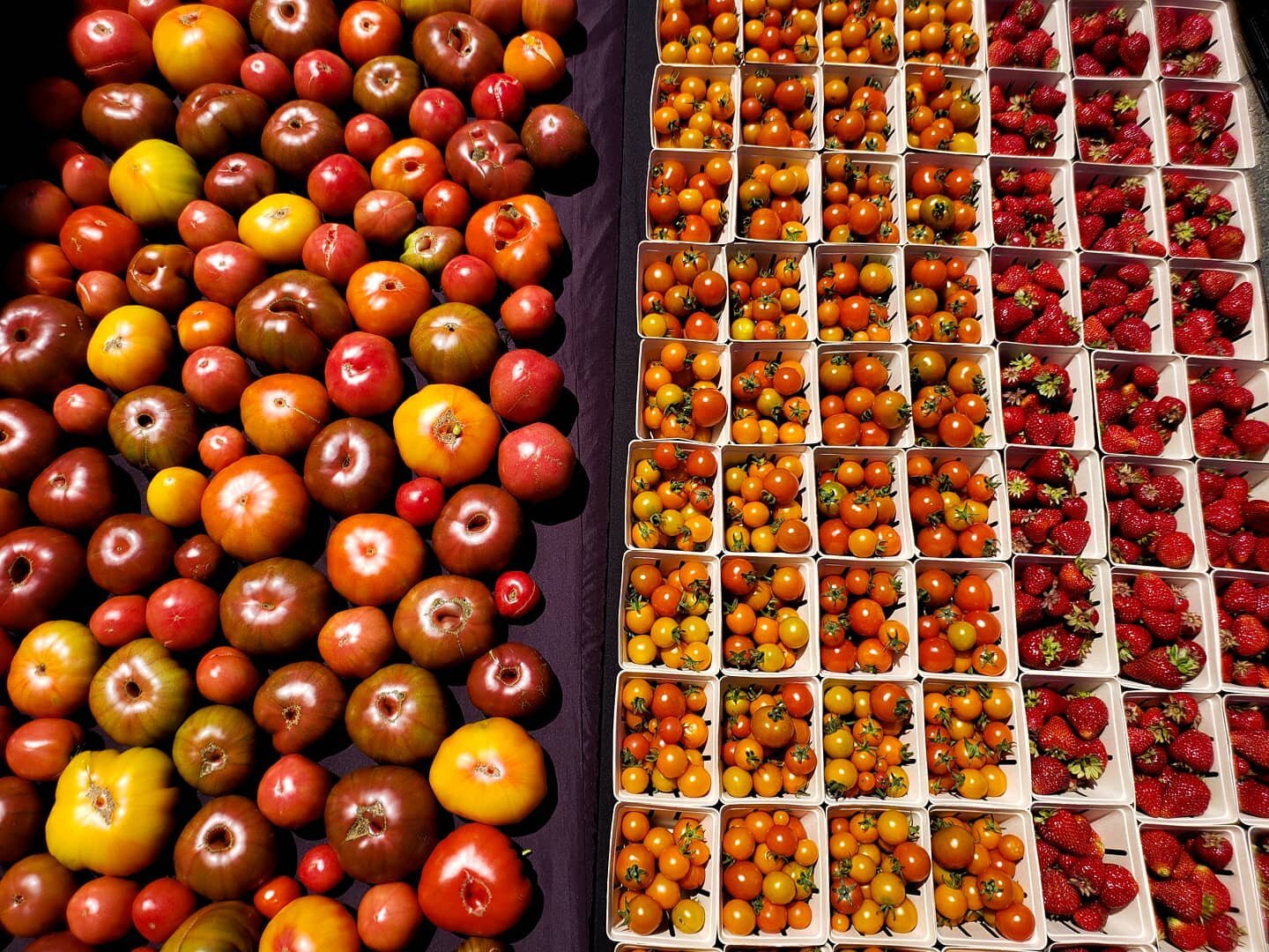 Doesn't get much better than this beautiful array of color 🥰🍅🍓