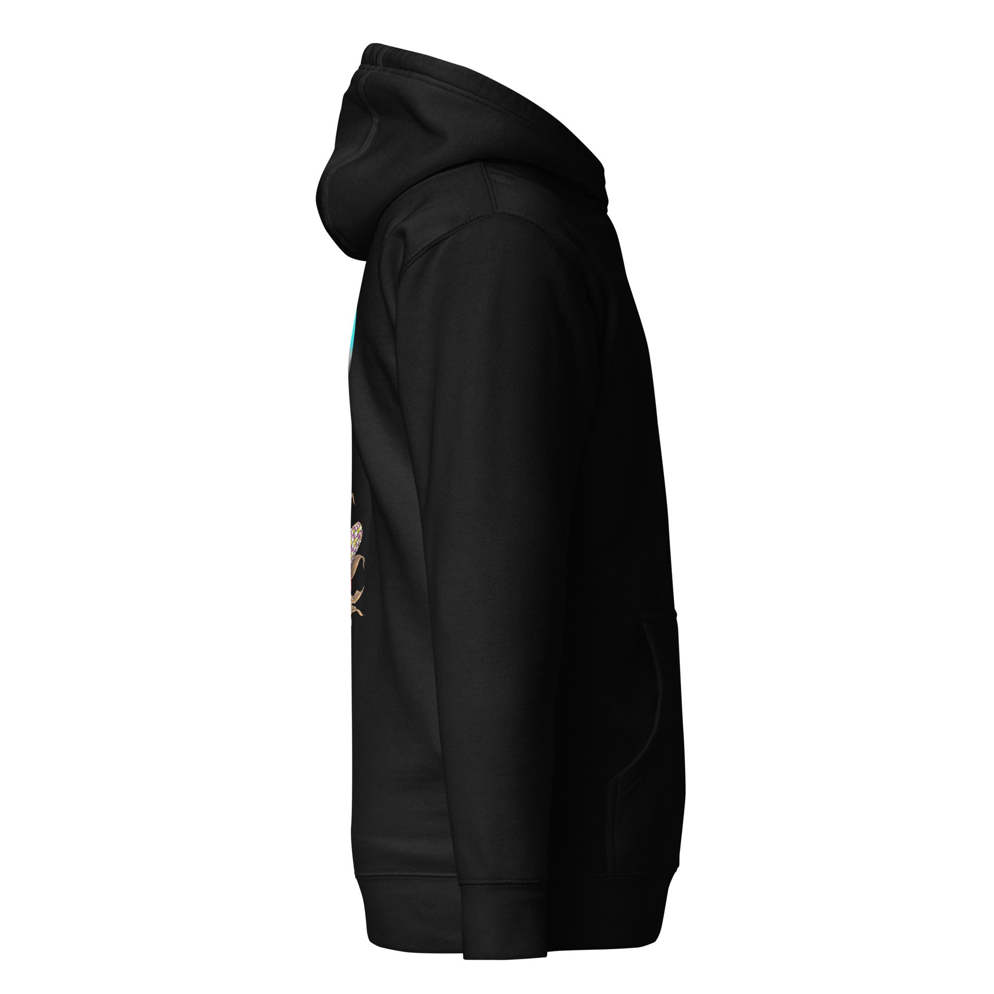 unisex-premium-pullover-hoodie-black-right-6ac2b0528619f.jpg