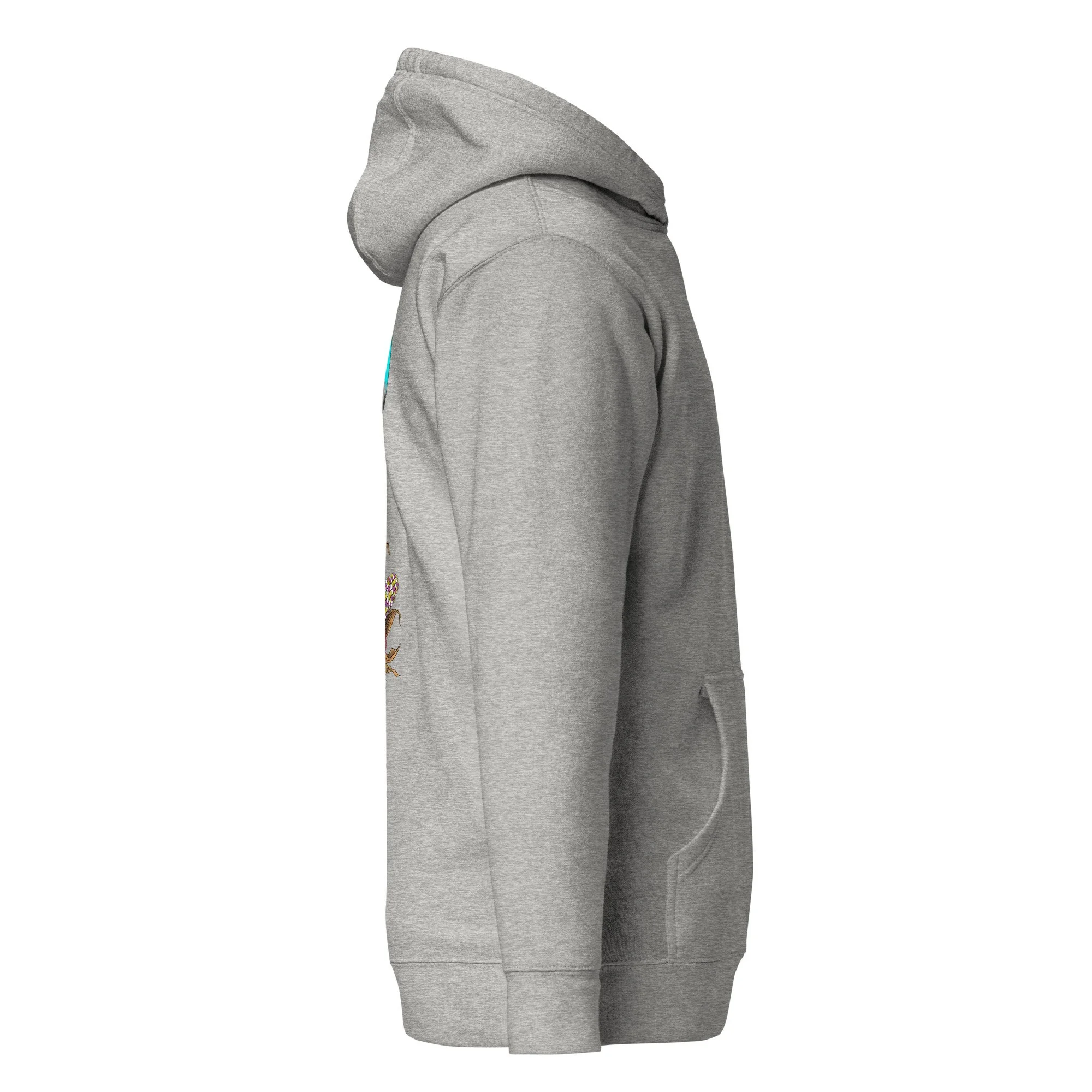 unisex-premium-pullover-hoodie-carbon-grey-right-6ac2b05286224.jpg