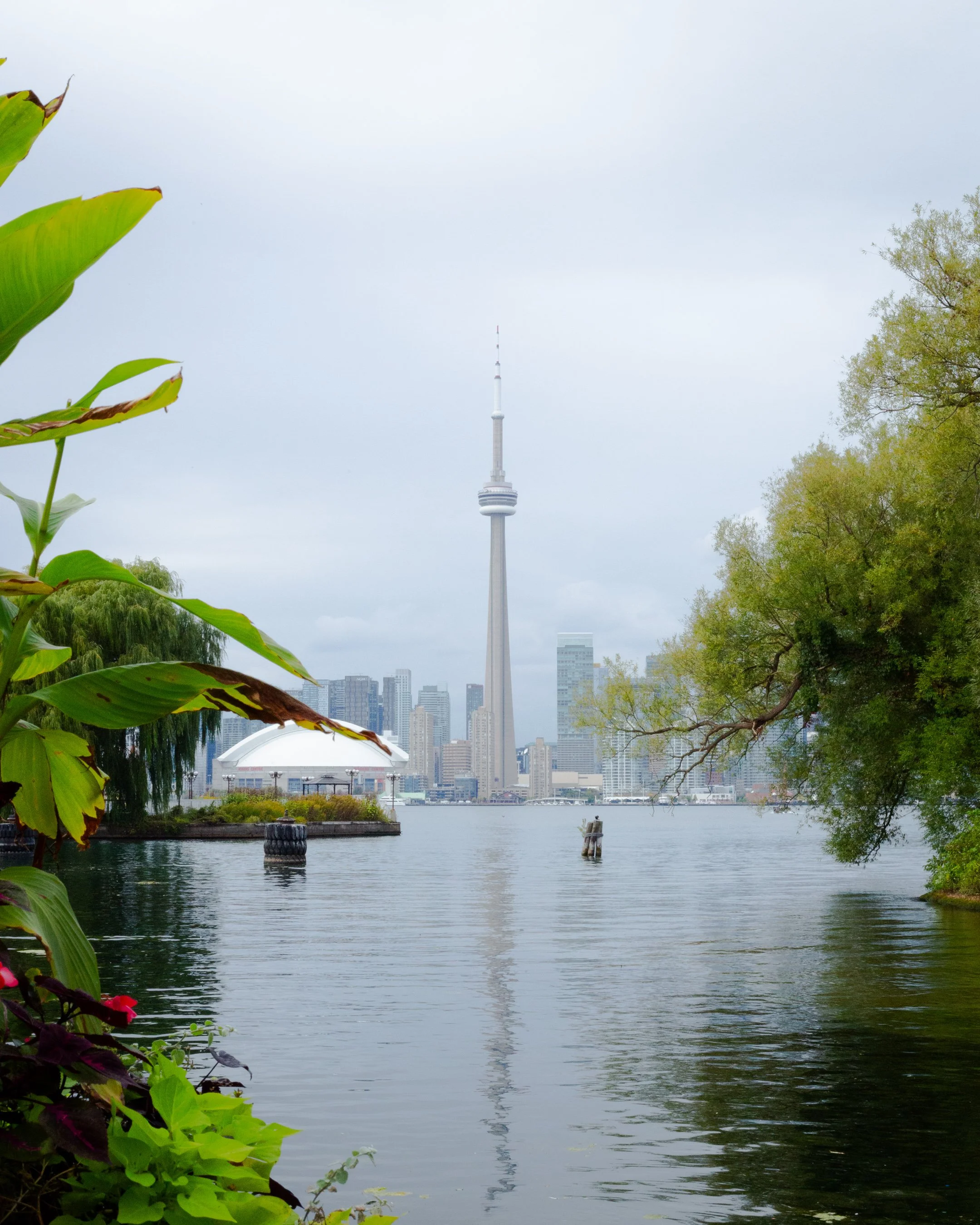 cn tower daytime vertical.jpg
