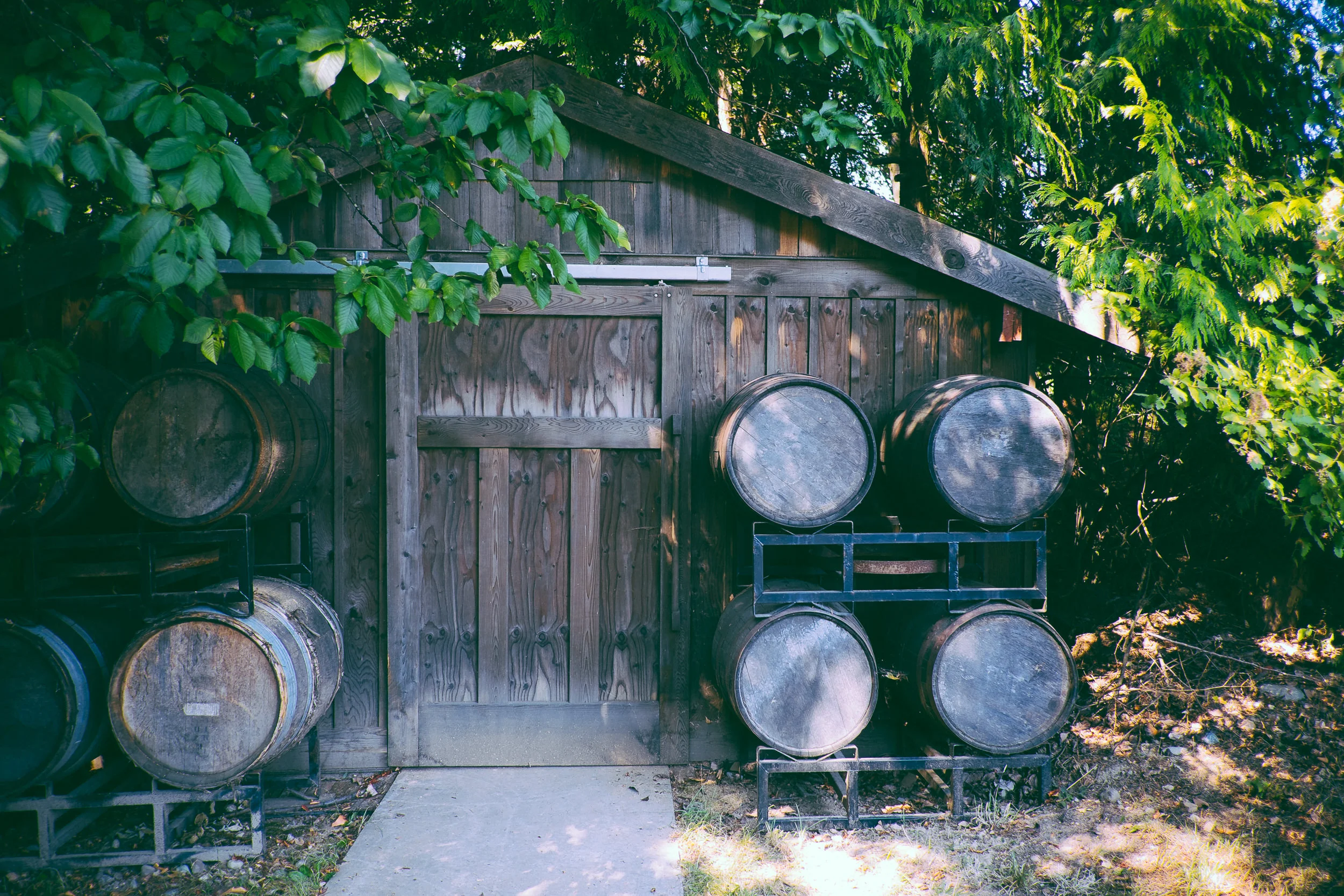 winebarrel.jpg