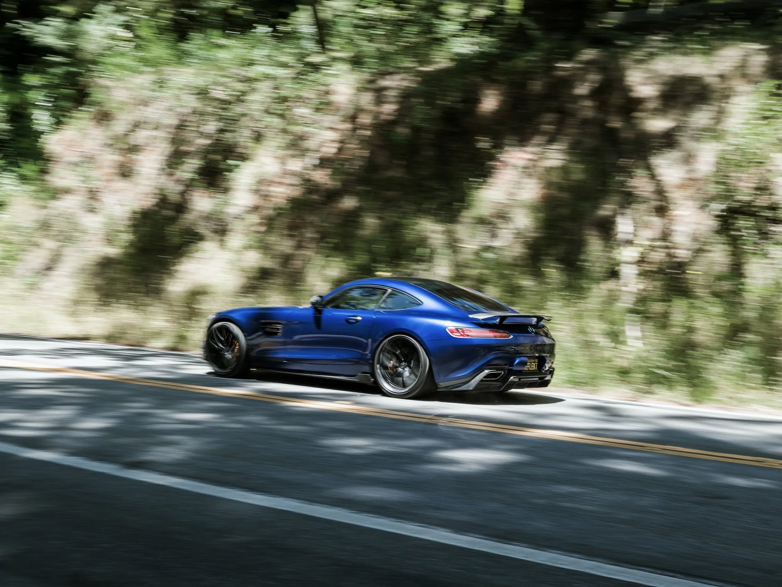 DSC_8455.jpeg