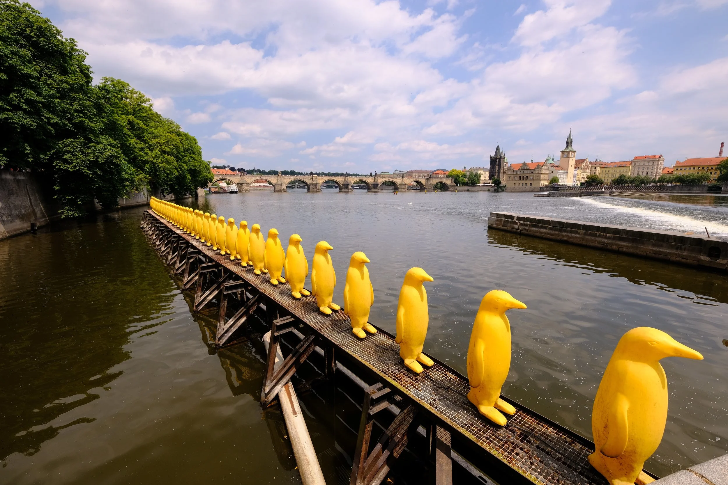 Penguin Sculpture Europe.jpg