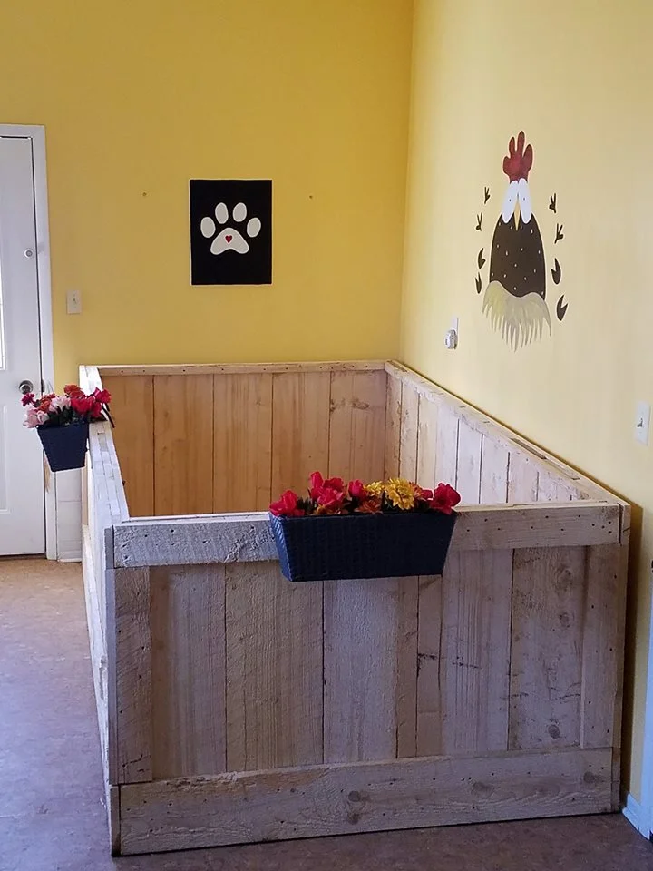 An area one of our piggy mamas created for her boys.