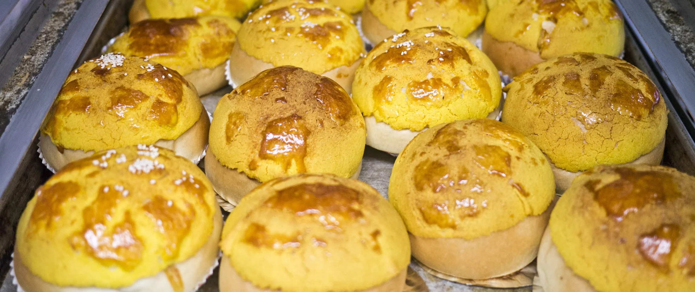 _1020057 CROPPED SMALL.jpg