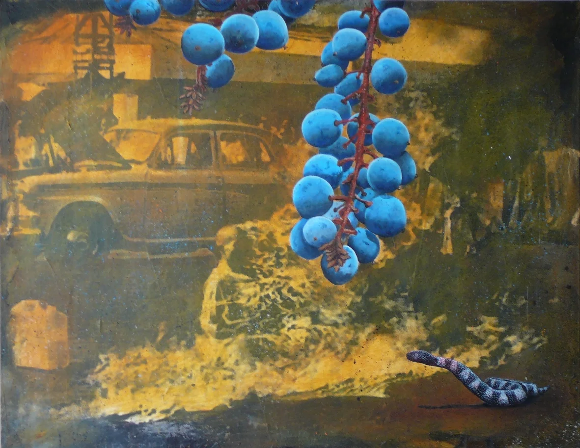 Perishables: Blueberries