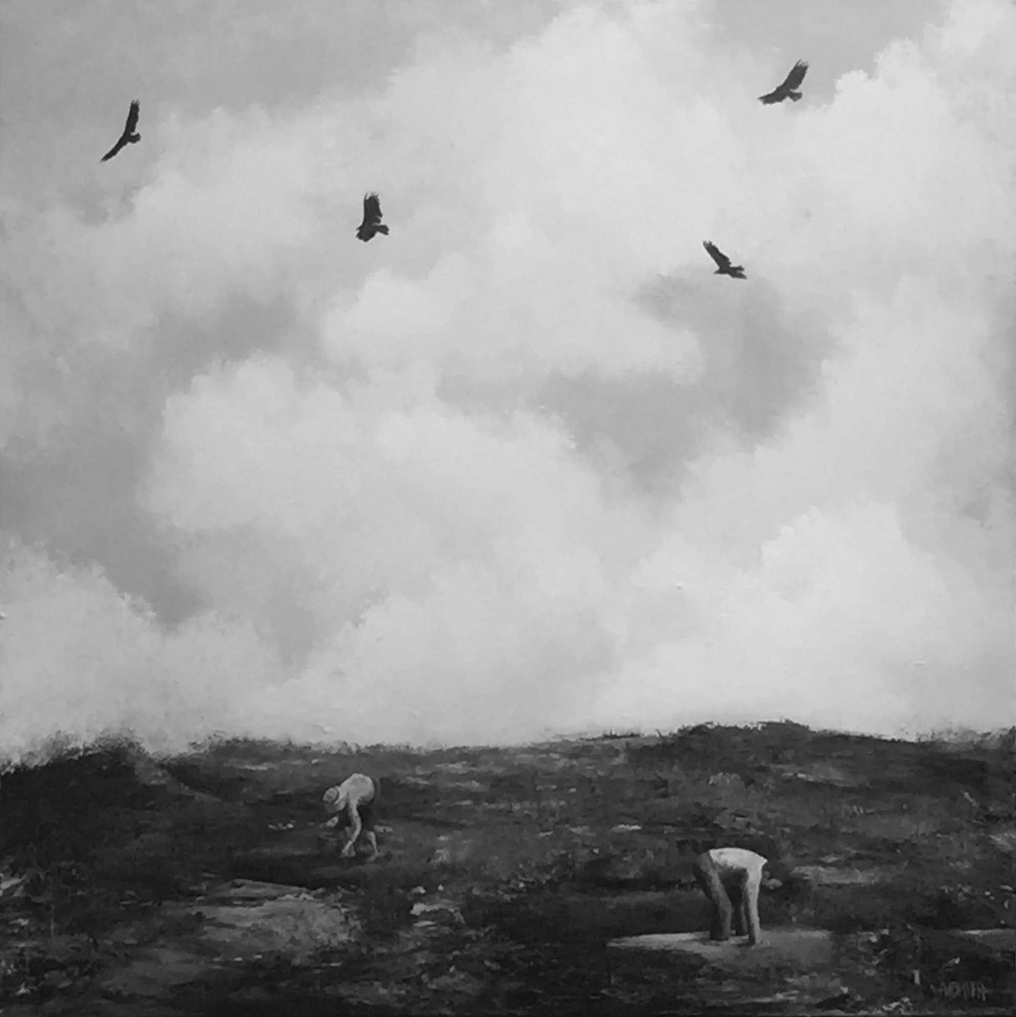 The Collectors