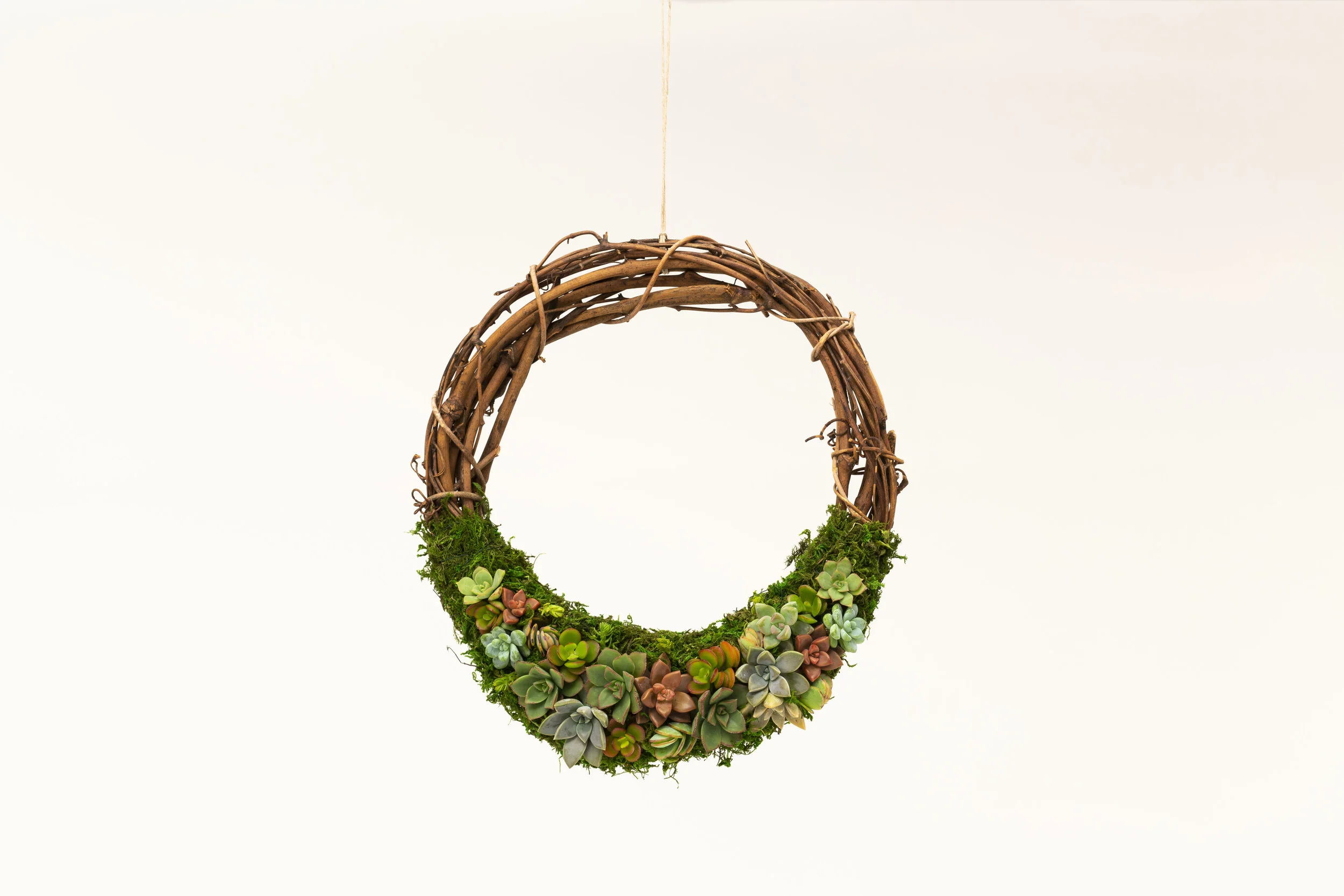DIY Succu-Wreath Making at Latitude 33