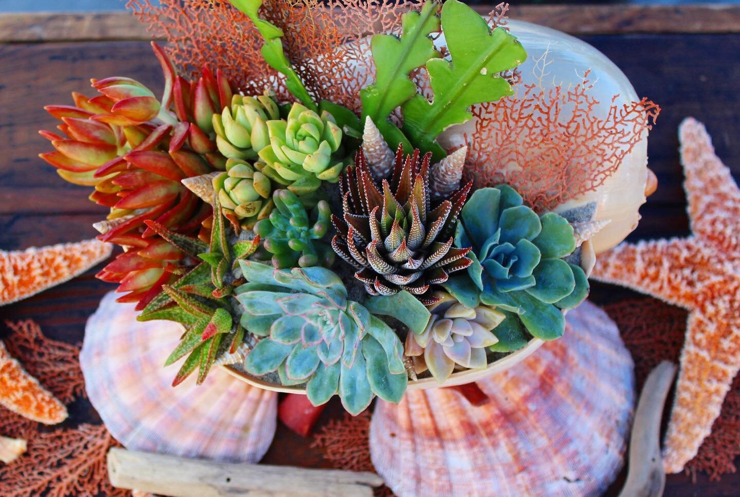 Every angle on this 💯% organic ocean themed living centerpiece was gorgeous! Event decor designed by @raintoroots at @beachhousesd for one of our client&rsquo;s annual corporate team building events. @sonyplaystation @belmontparksd @belmontparkevent