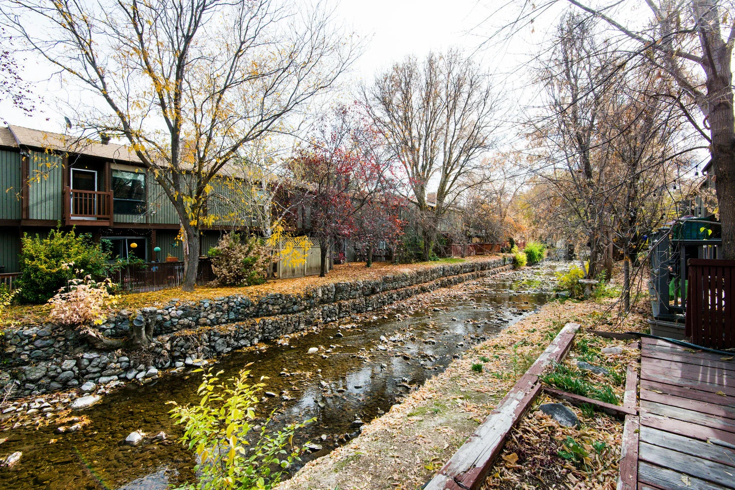 5397 creek.jpg