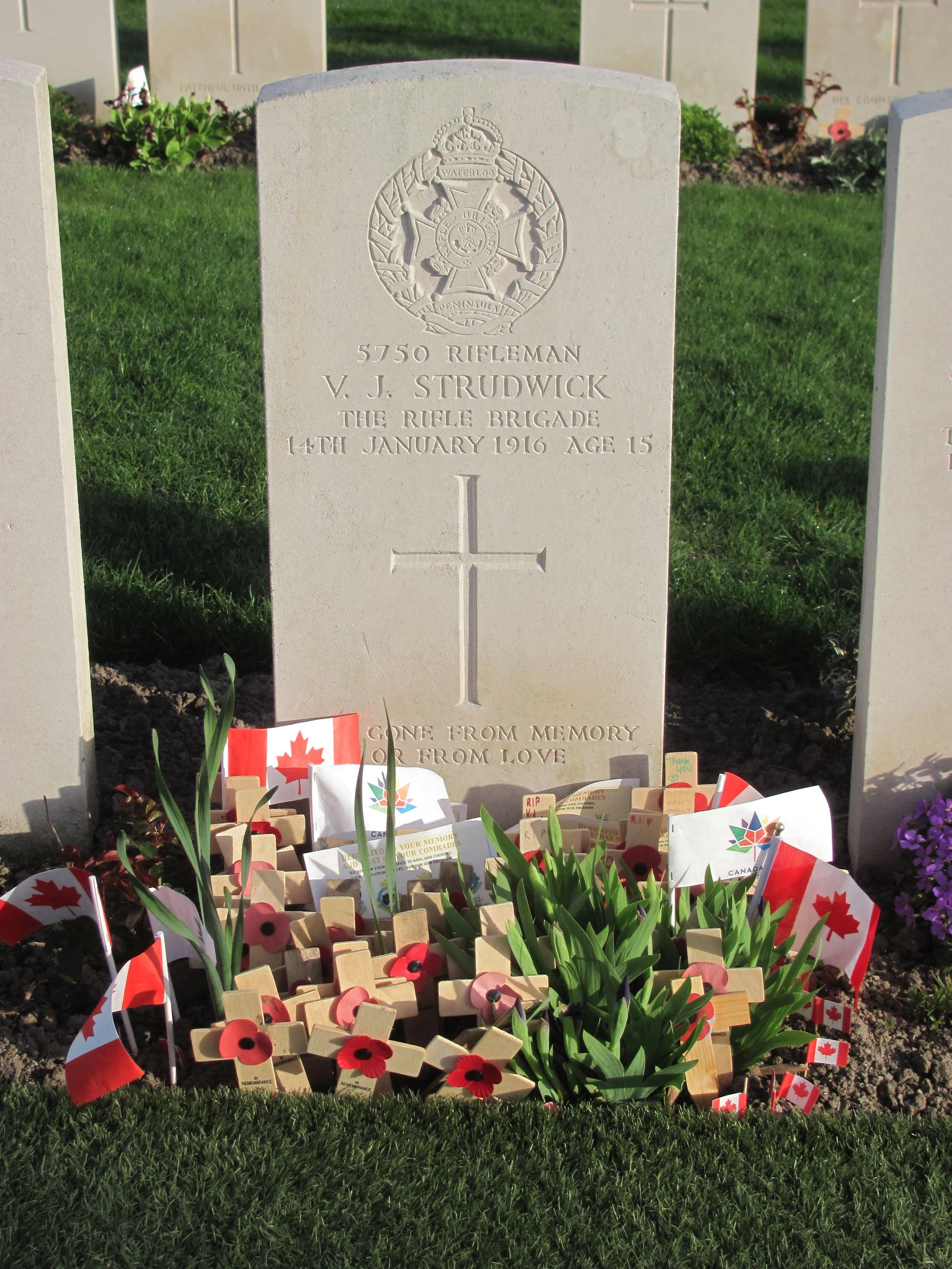 Much visited, the grave of V. J. Strudwick, British soldier at Essex Farm Cemetery, required astro turf to replace grass, due to foot traffic.