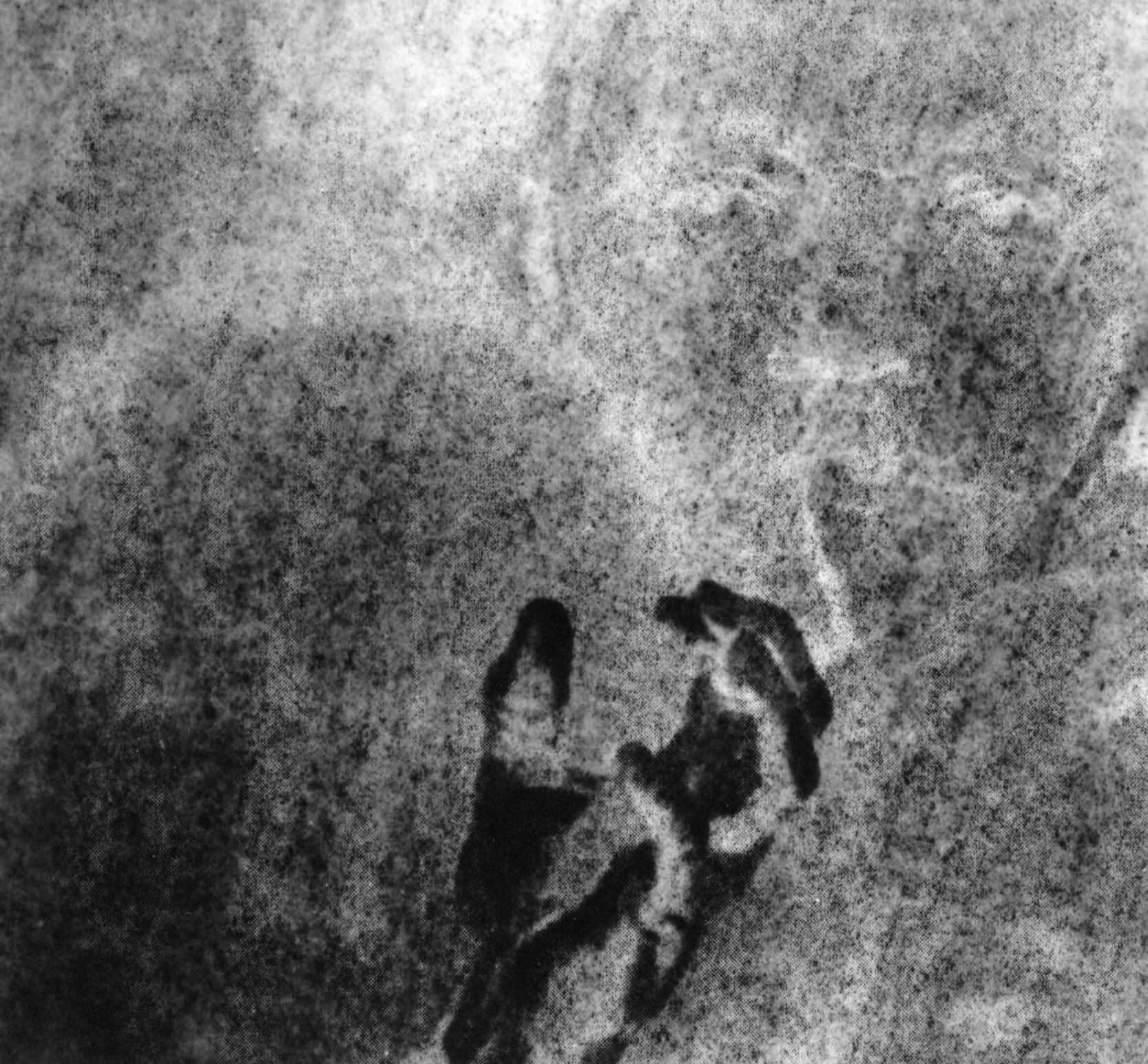 thompson may 2026 show 15 copy.jpg