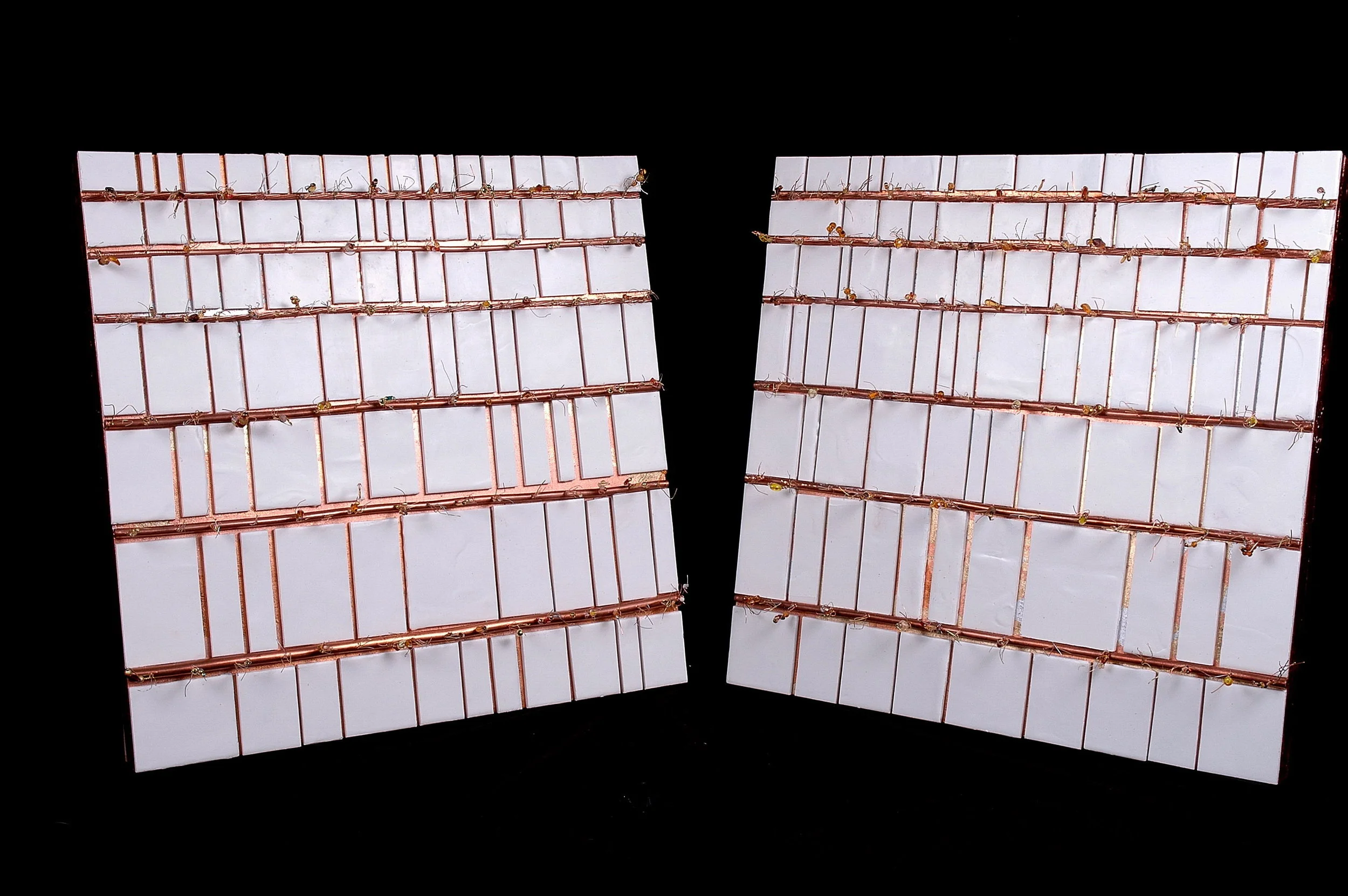 Cornfields in Snow