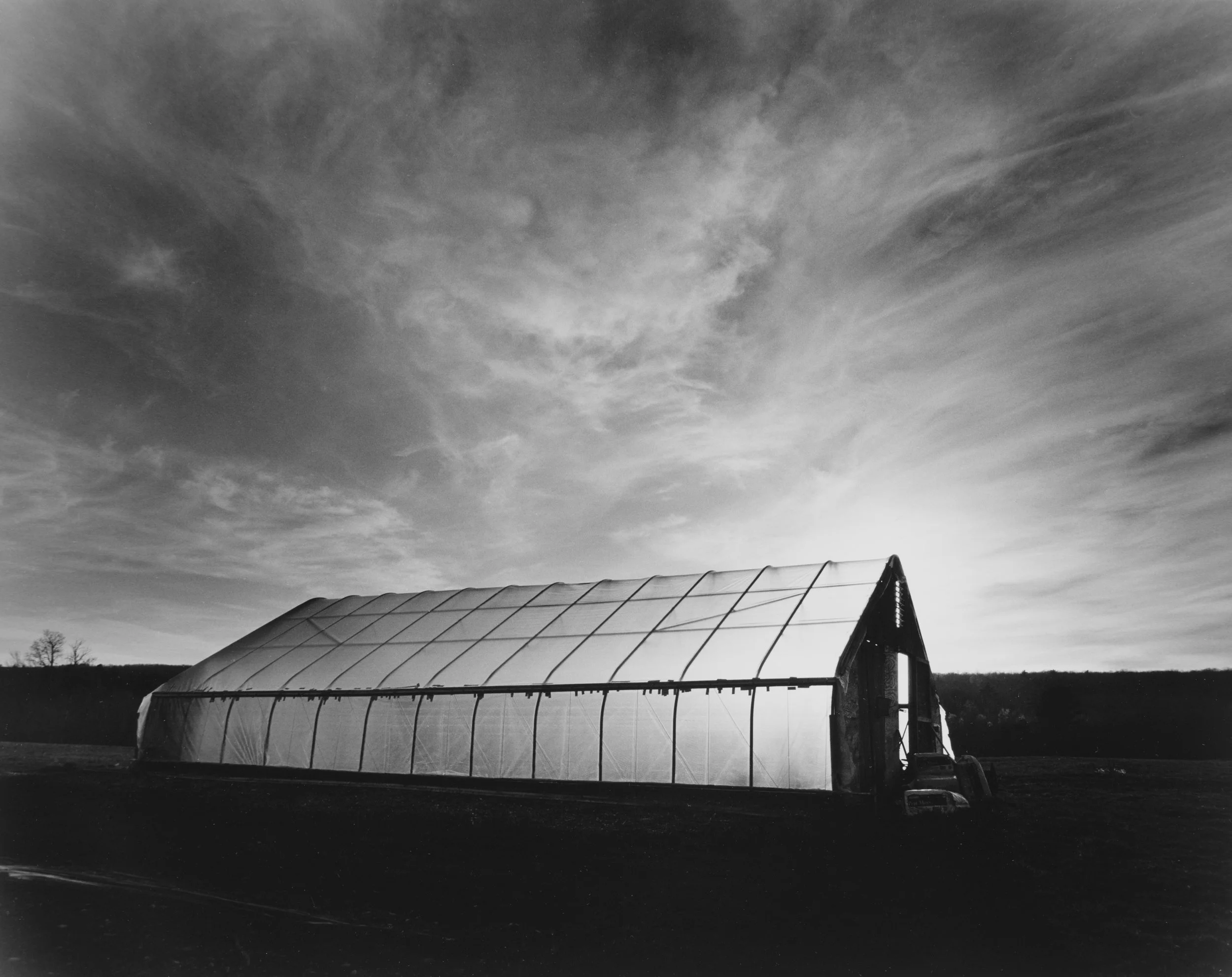 Greenhouse Light