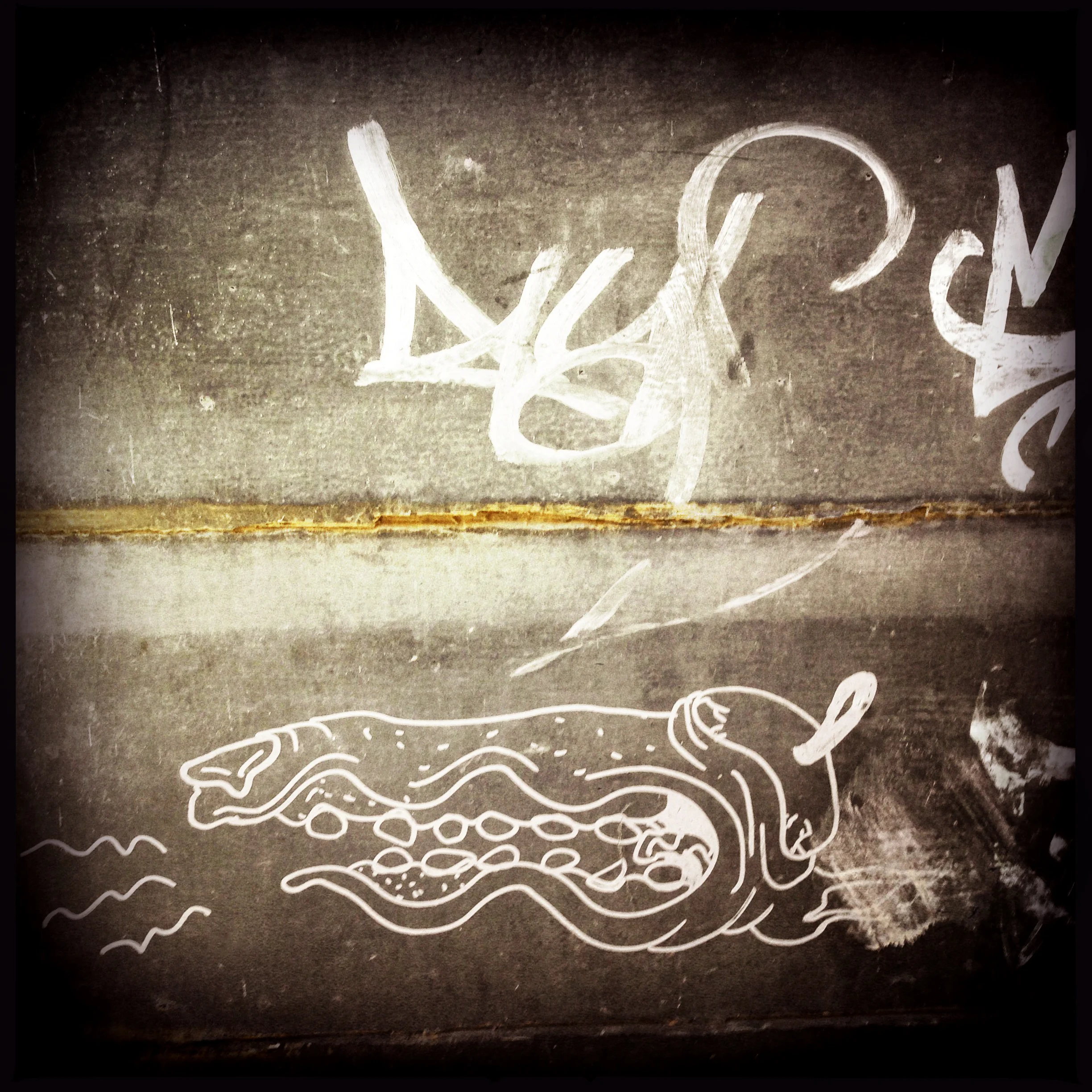 Greyhound