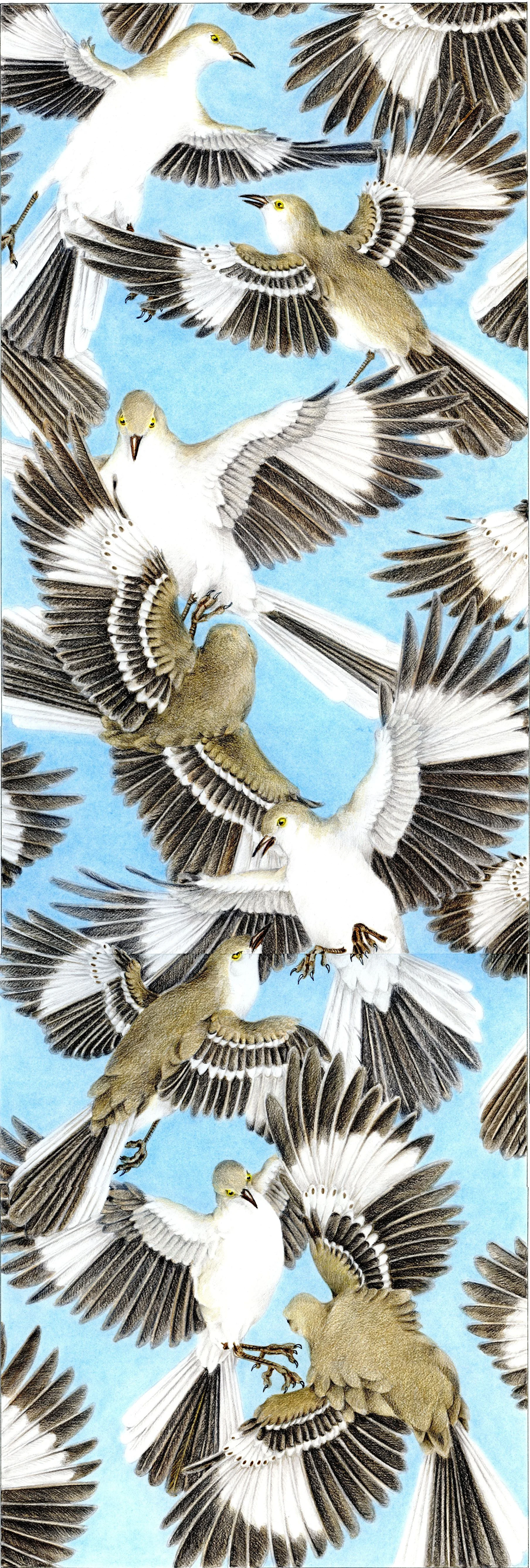 Mockingbirds