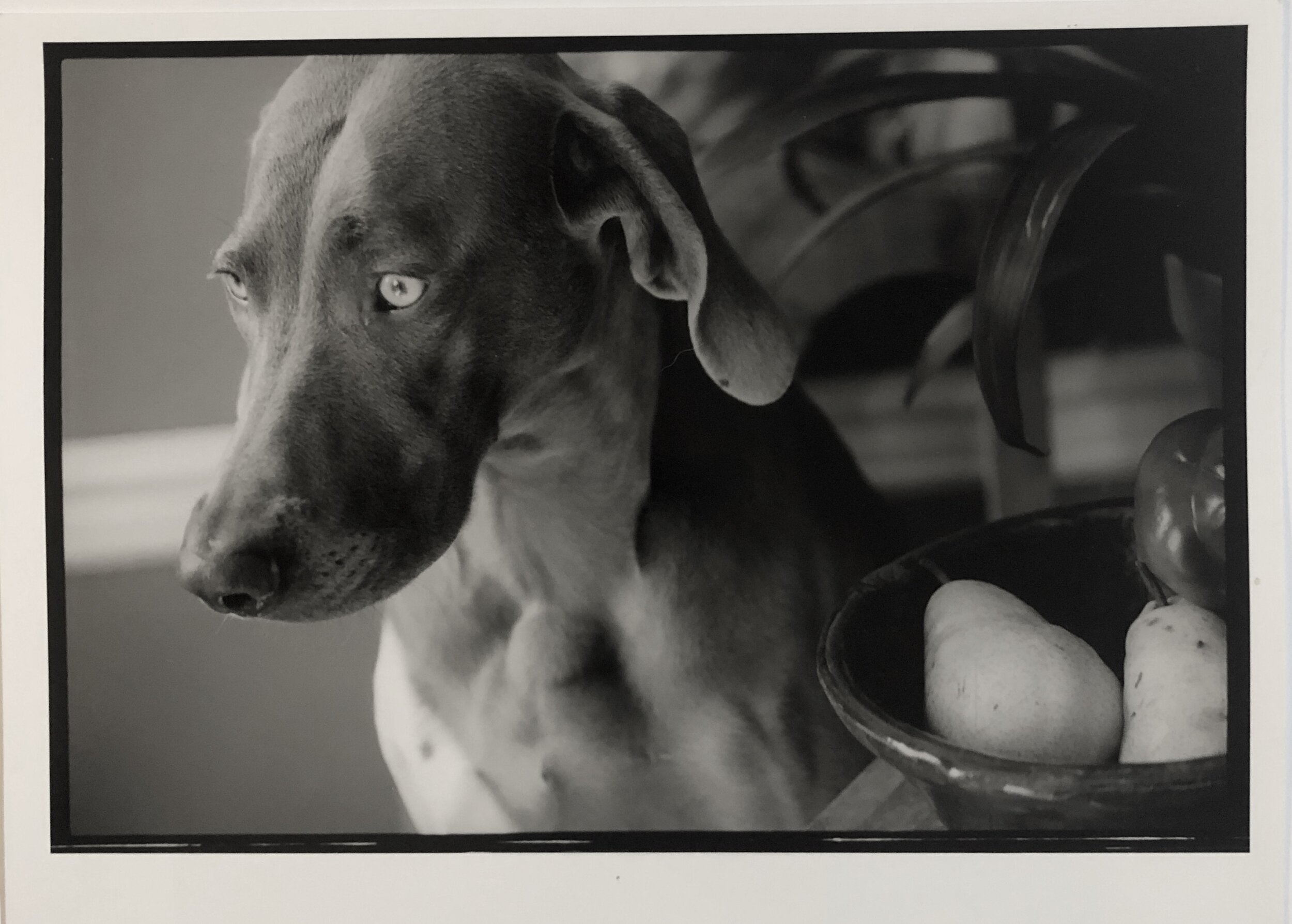 Molly with Still Life