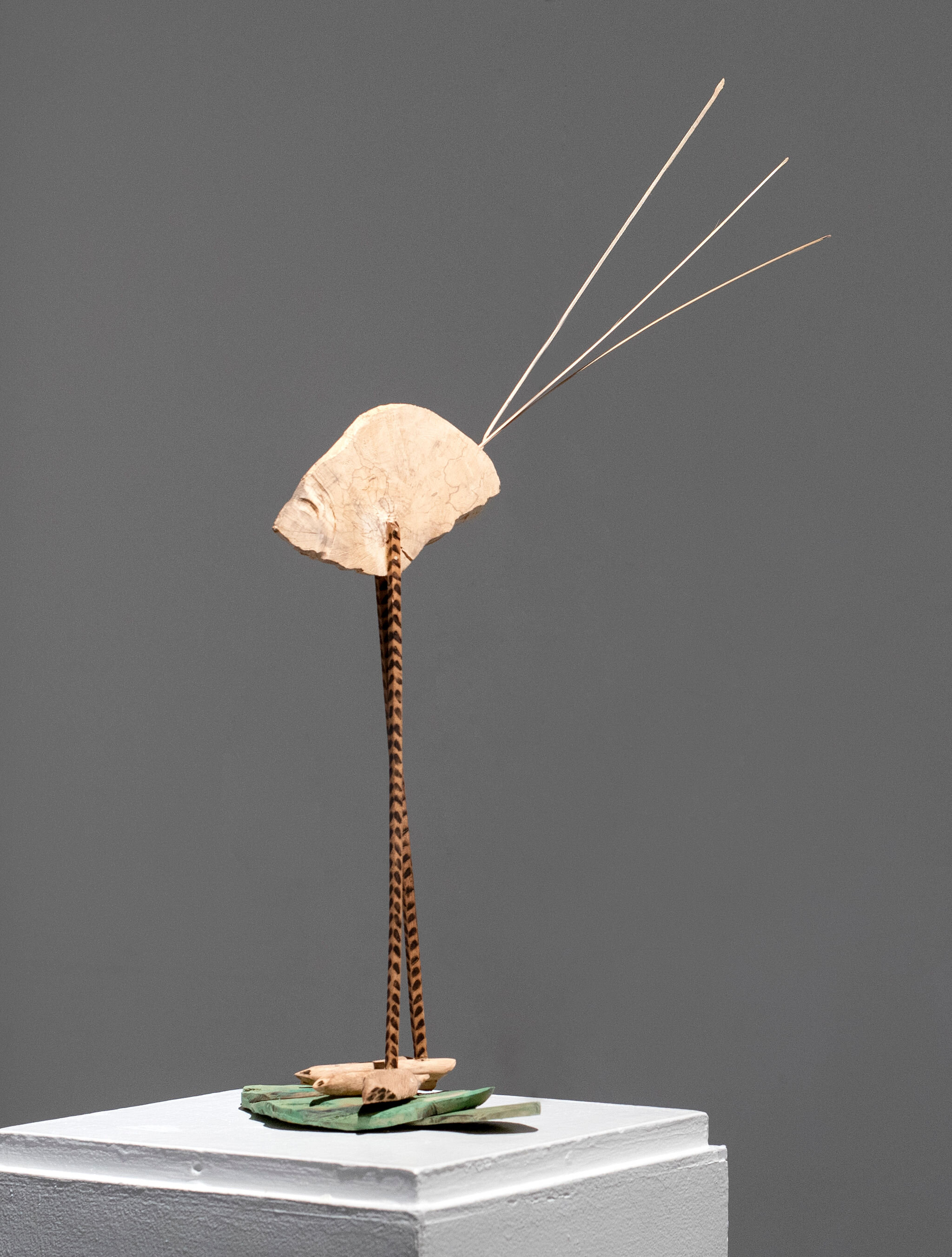 Ird Dancing on a Lily Pad I